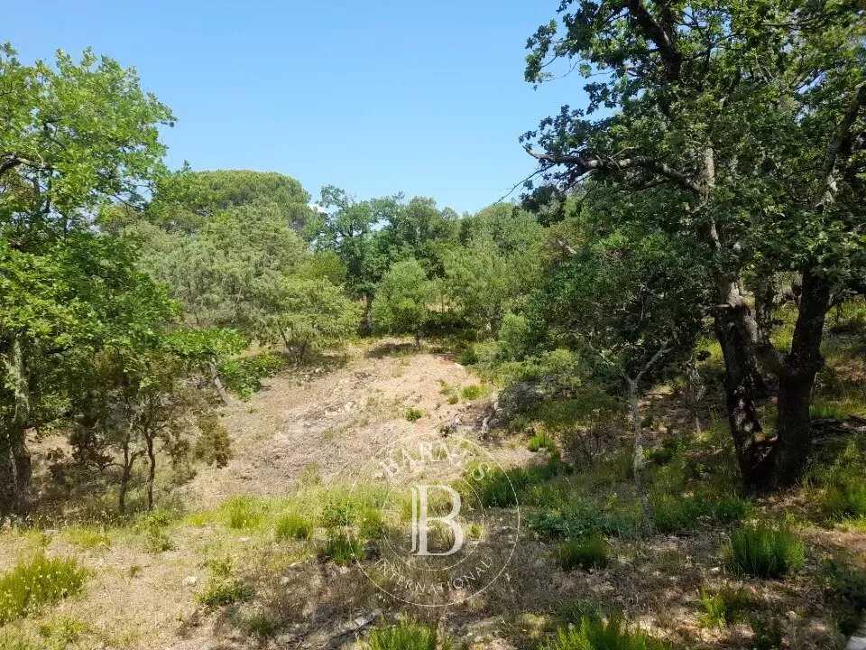 Not constructible land Grimaud  -  ref 83208034 (picture 2)