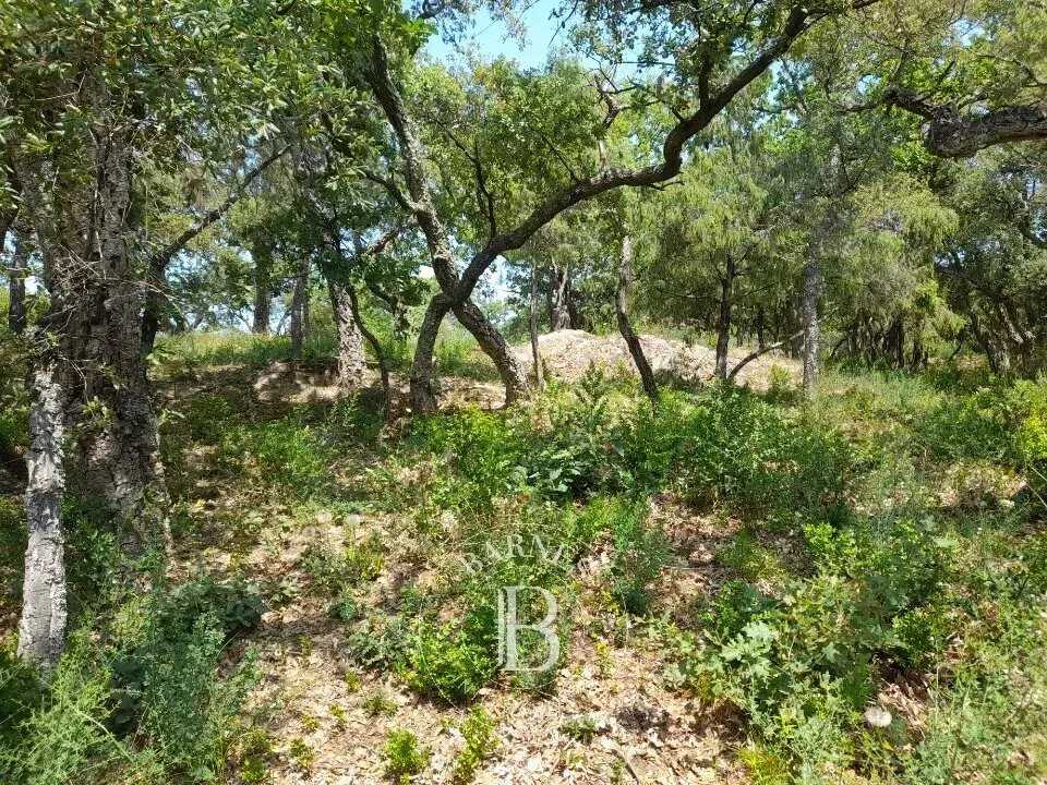Not constructible land Grimaud  -  ref 83208034 (picture 1)