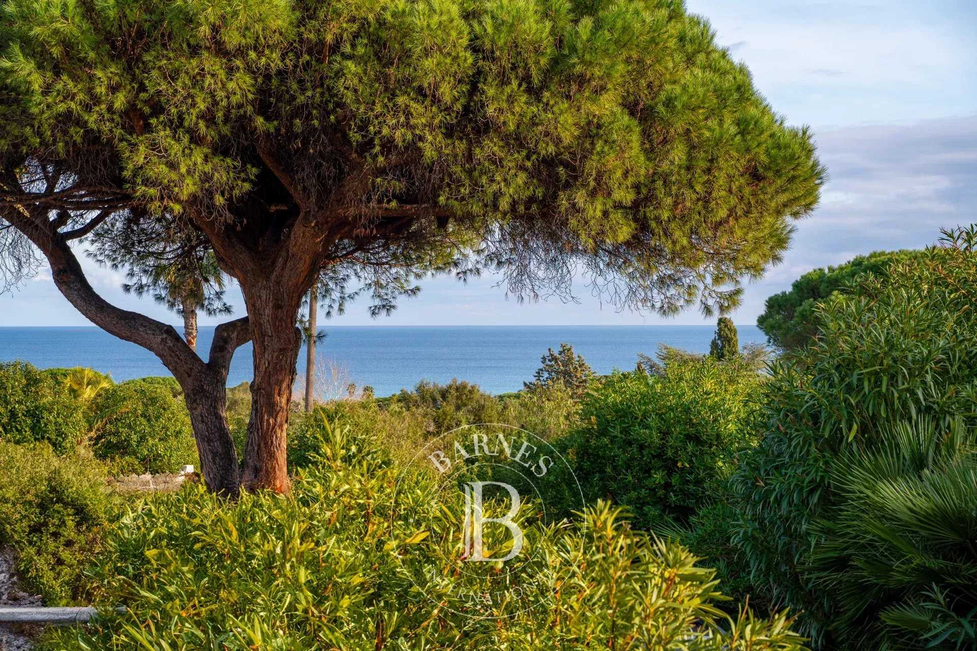 Maison Ramatuelle  -  ref 86642243 (picture 1)