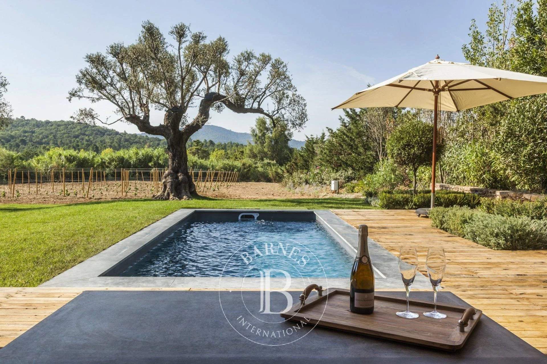Gassin - Magnificent charming villa in the heart of the vineyards - 3 bedrooms - Pool picture 3