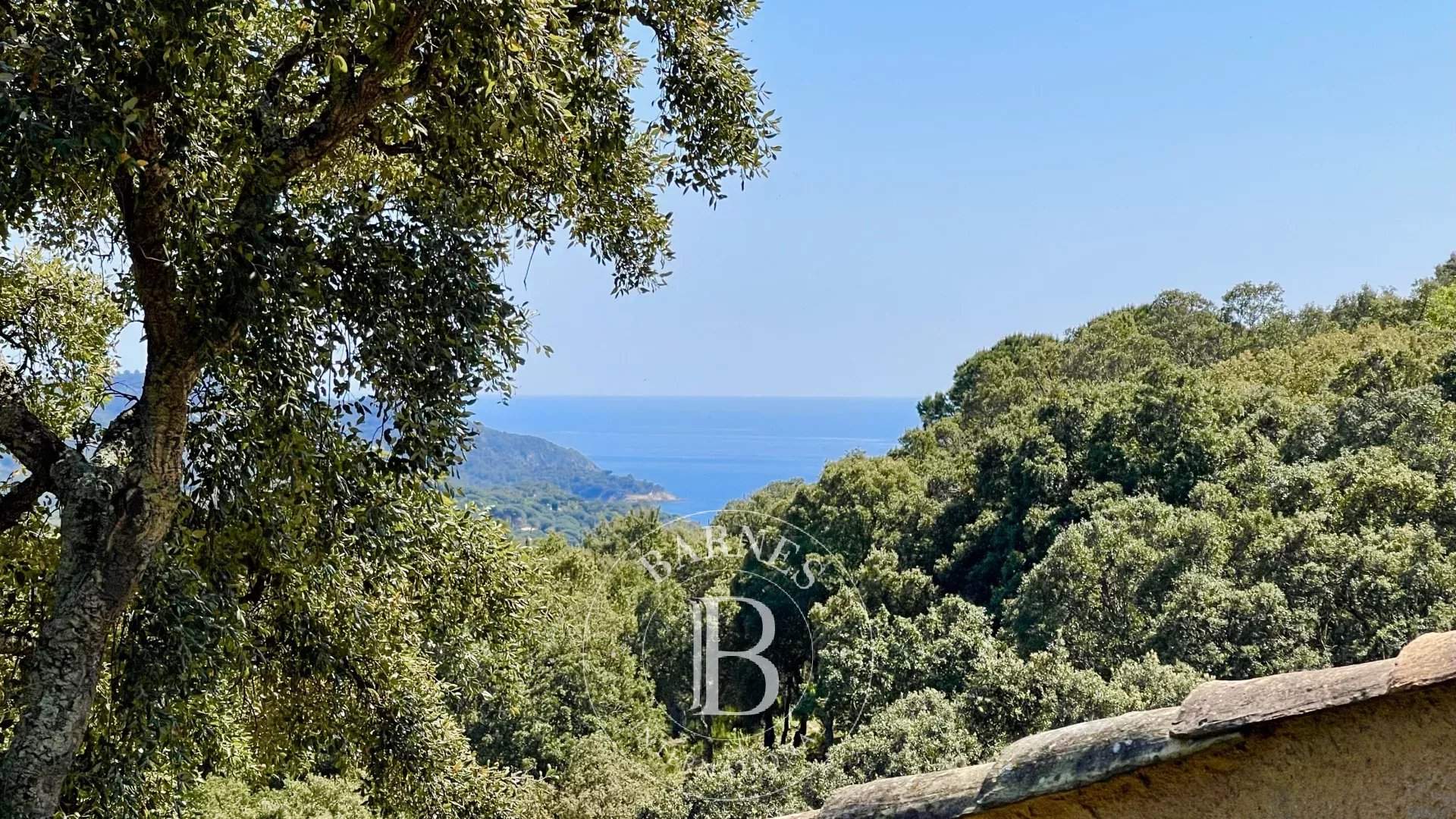 La Croix-Valmer  - Villa 5 Bedrooms - picture 10