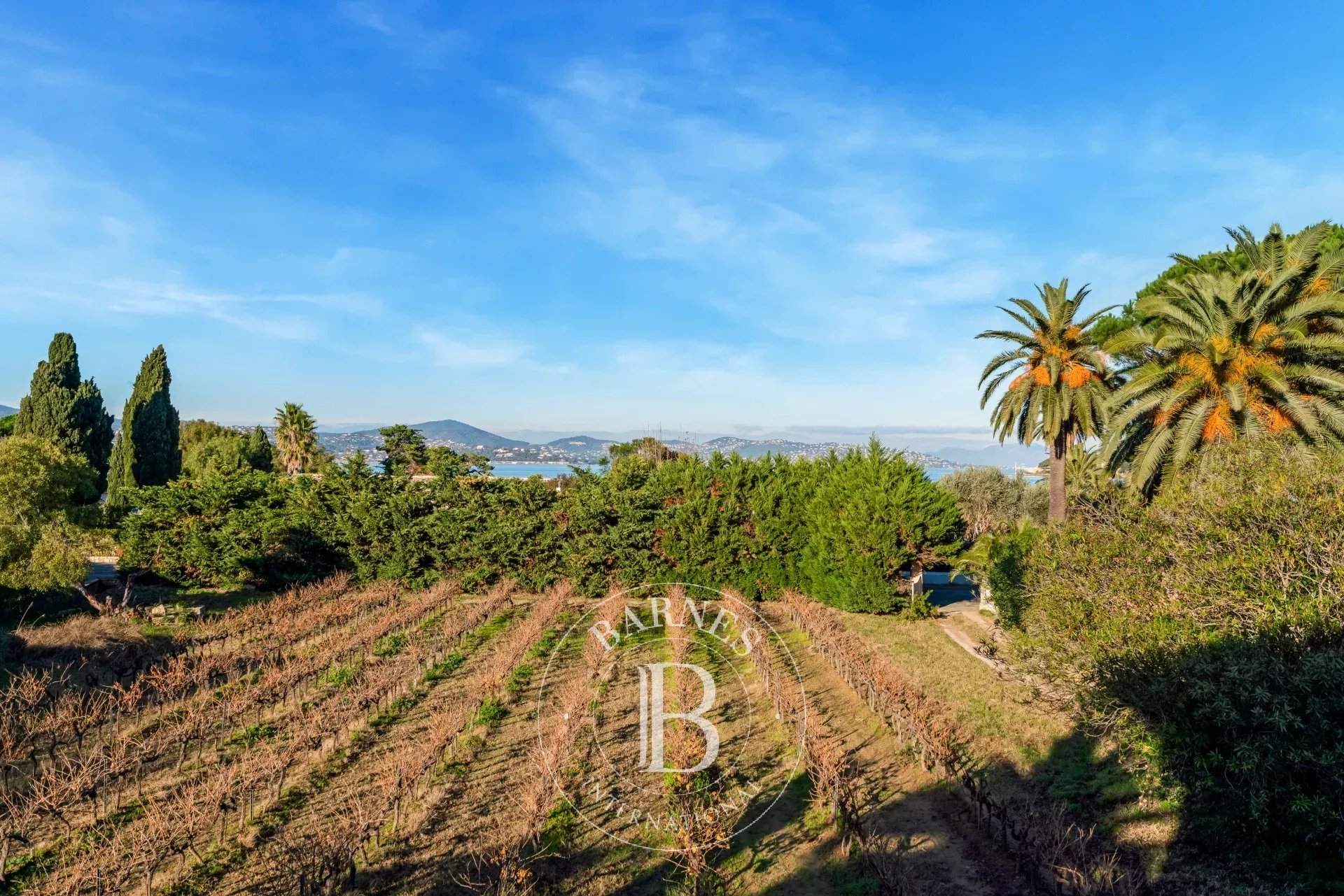 Saint-Tropez  - Maison 6 Pi&egrave;ces 5 Chambres - picture 5