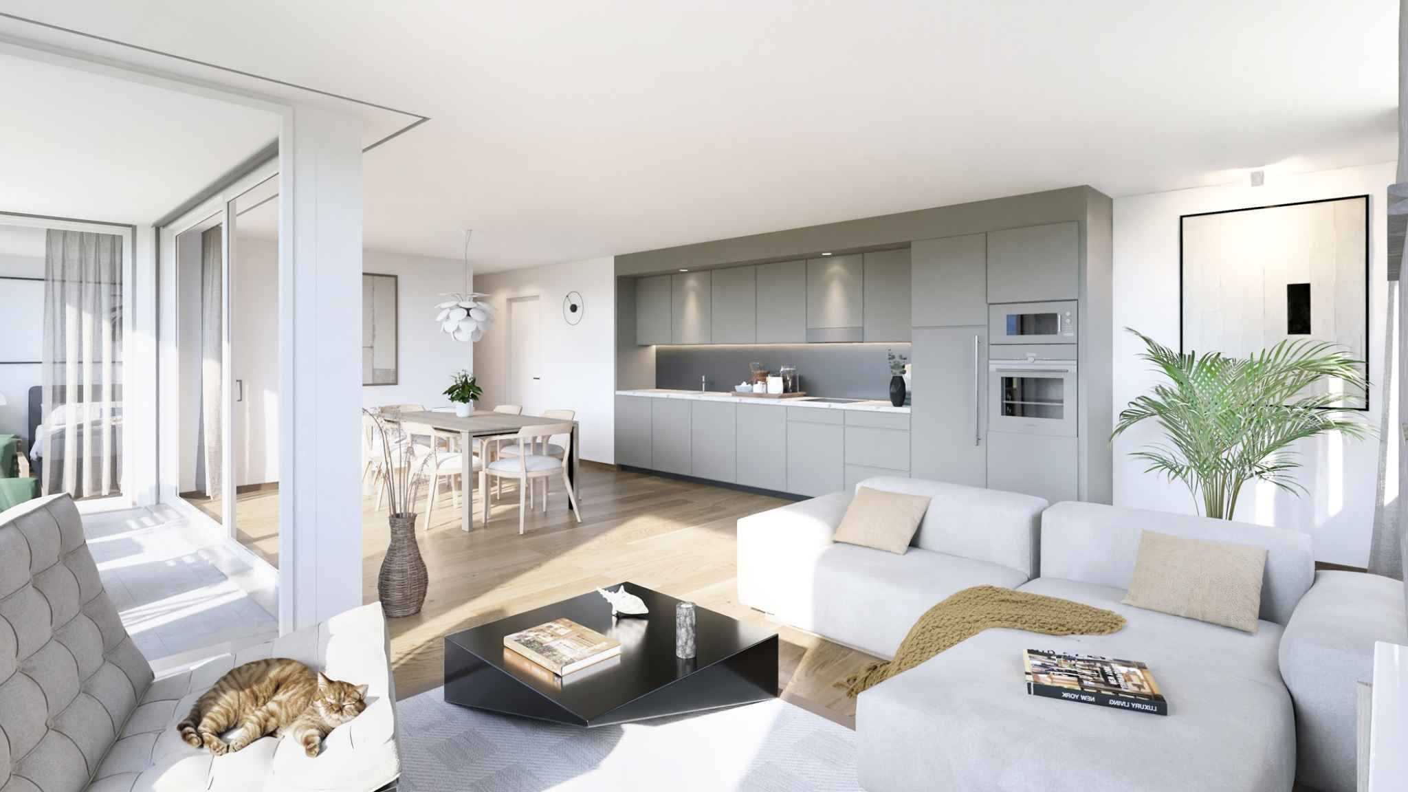 Siviriez  - Apartment 3 Bedrooms