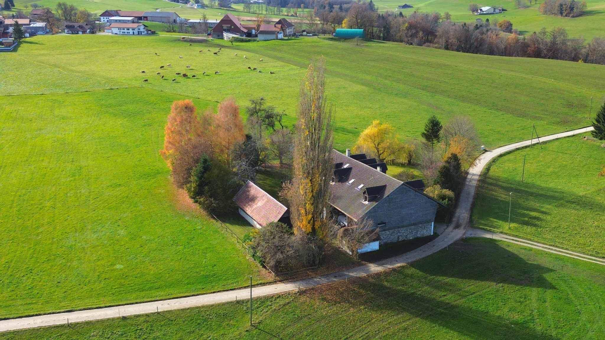 Grangettes  - Farm 7 Bedrooms - picture 11