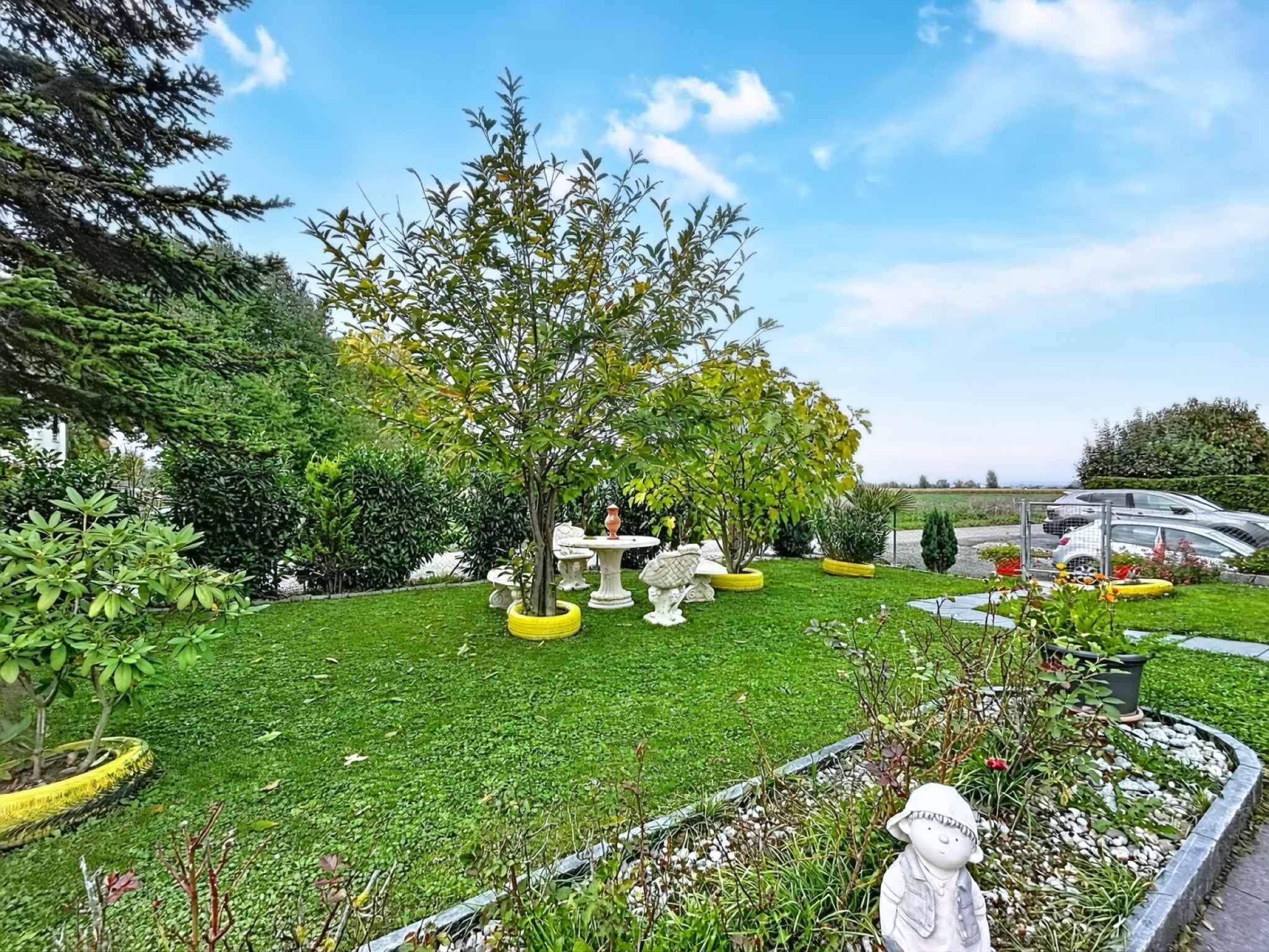 Payerne  - House 3 Bedrooms - picture 12