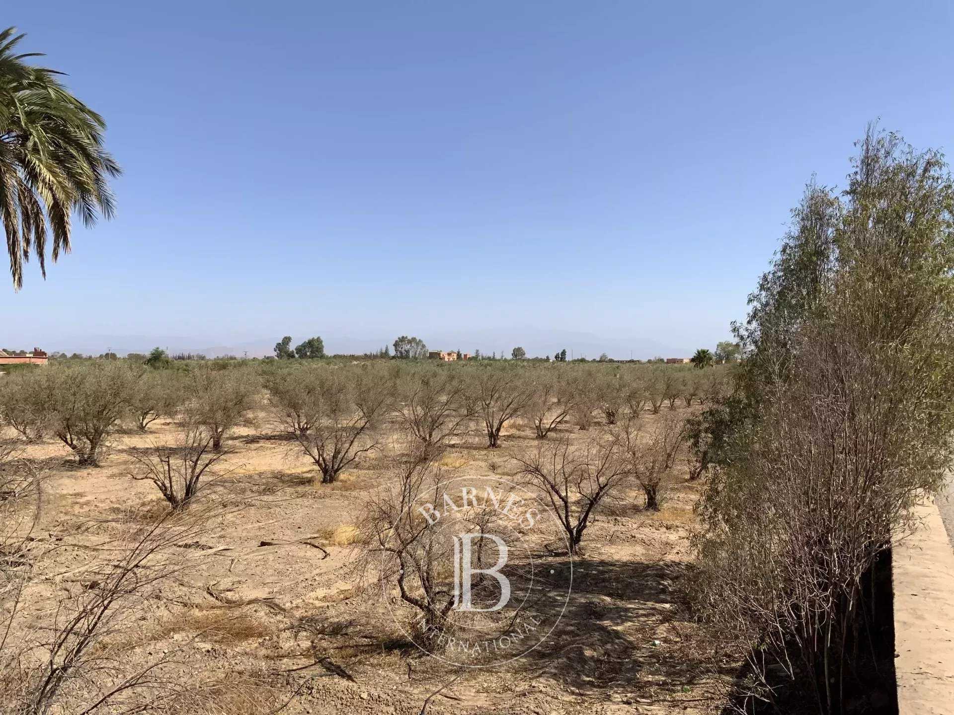 Marrakech  - Terrain constructible 