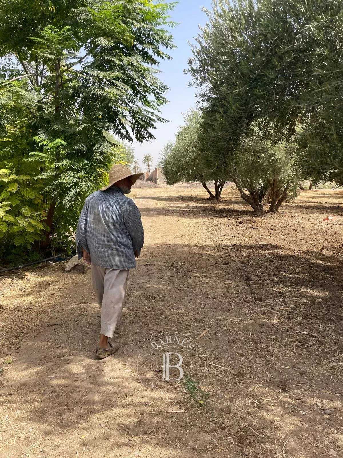 Marrakech  - Building land 