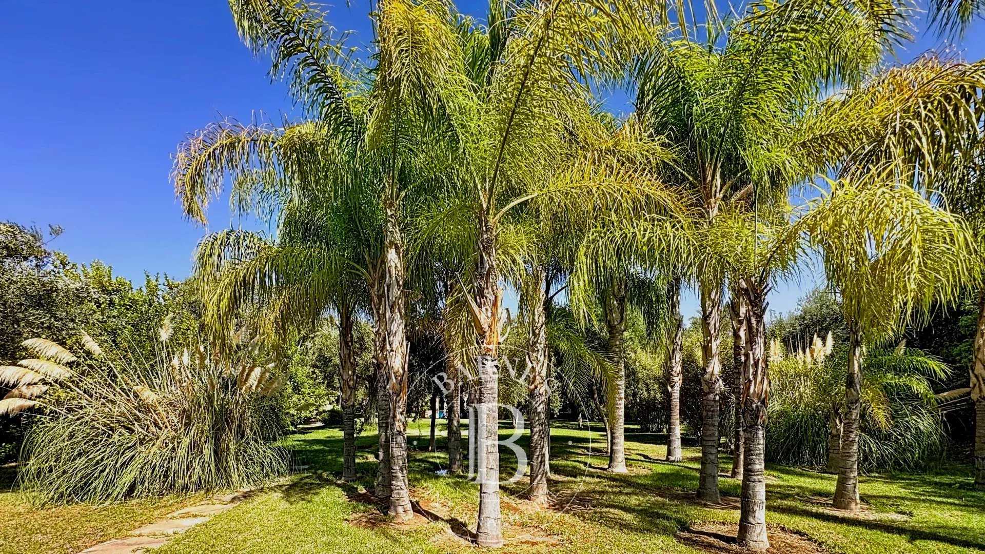 Marrakech  - Villa 6 Cuartos 4 Habitaciones