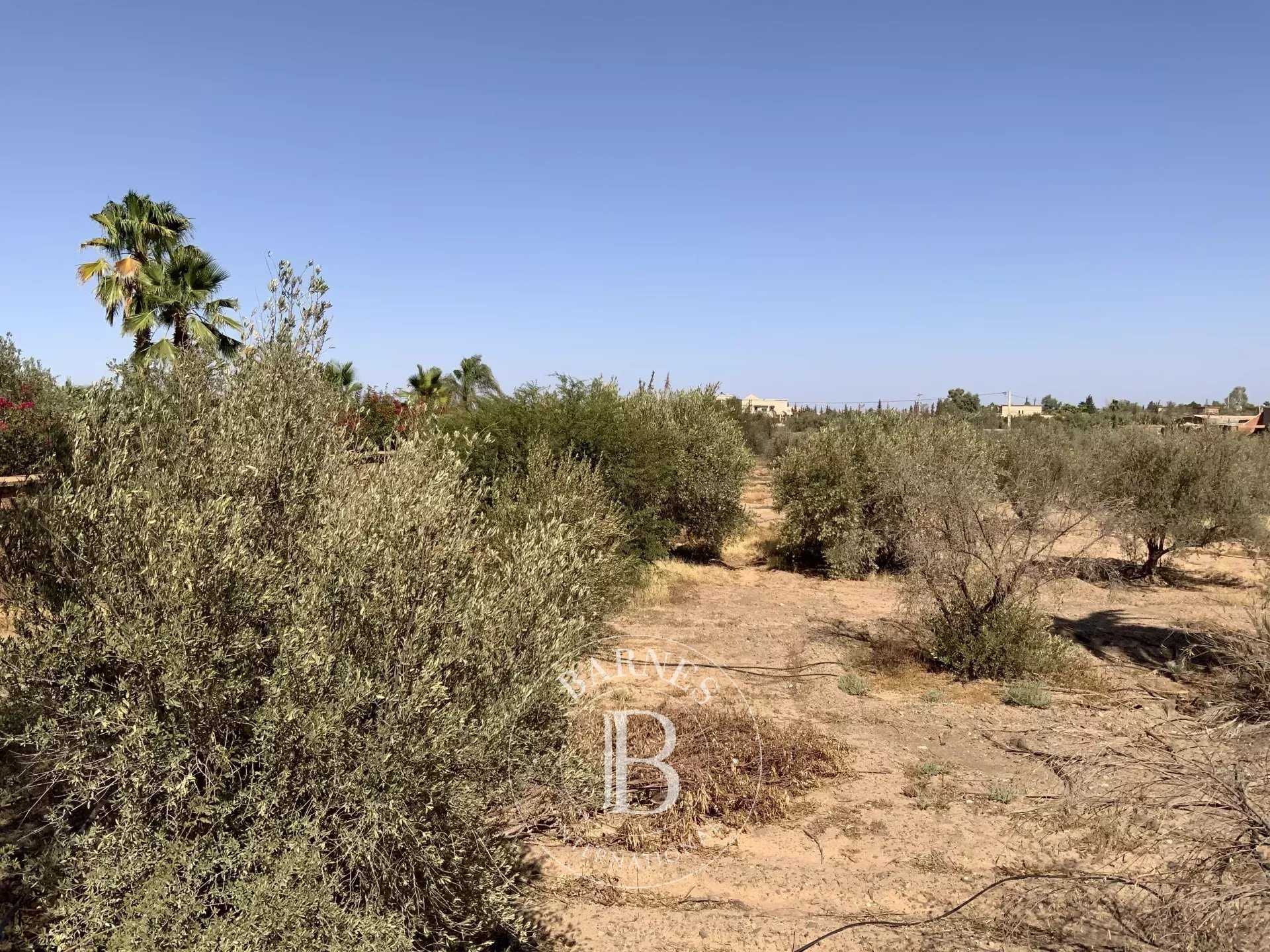 Marrakech  - Terrain constructible 