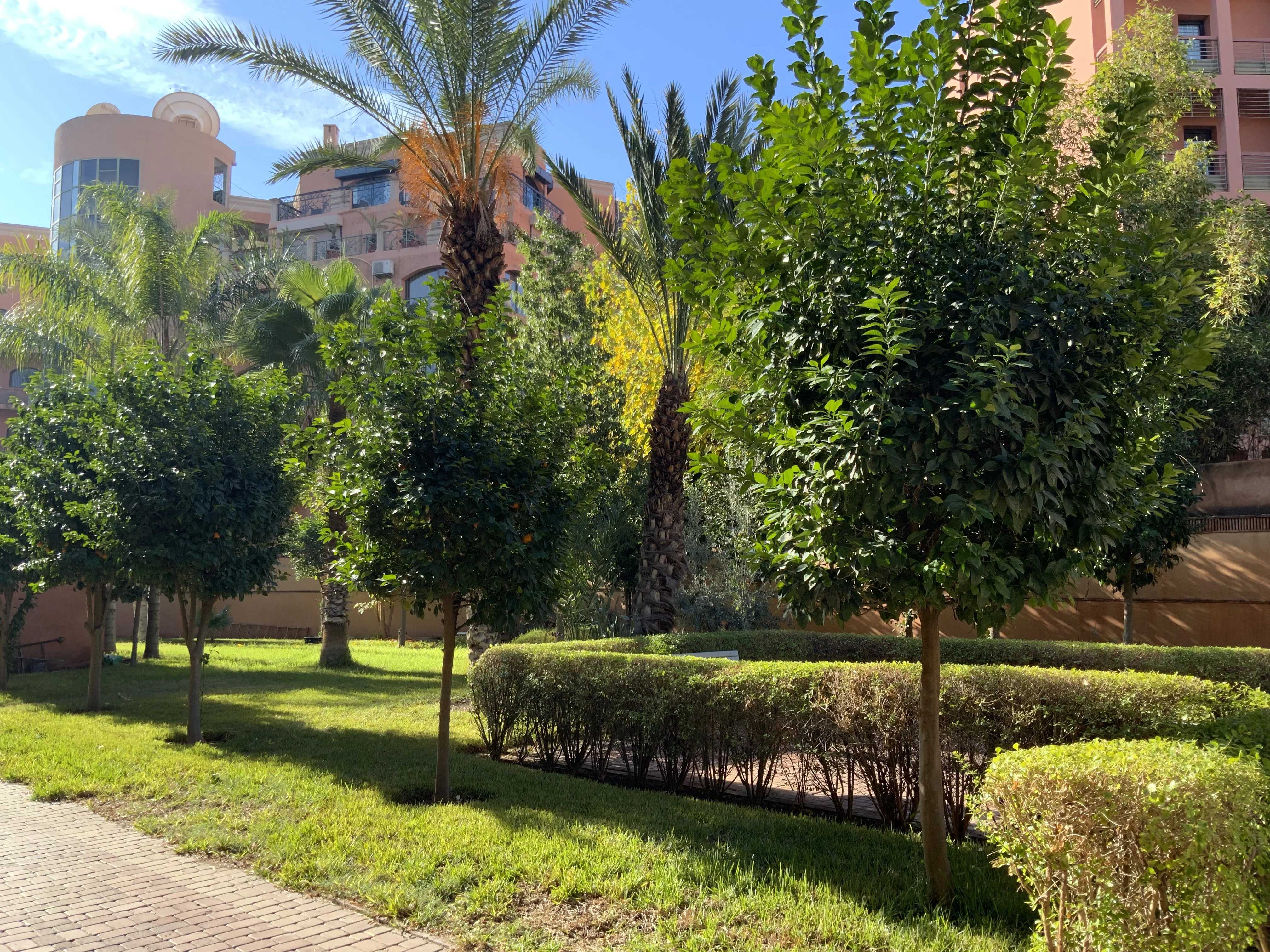 Apartment Marrakech  -  ref 86592208 (picture 2)