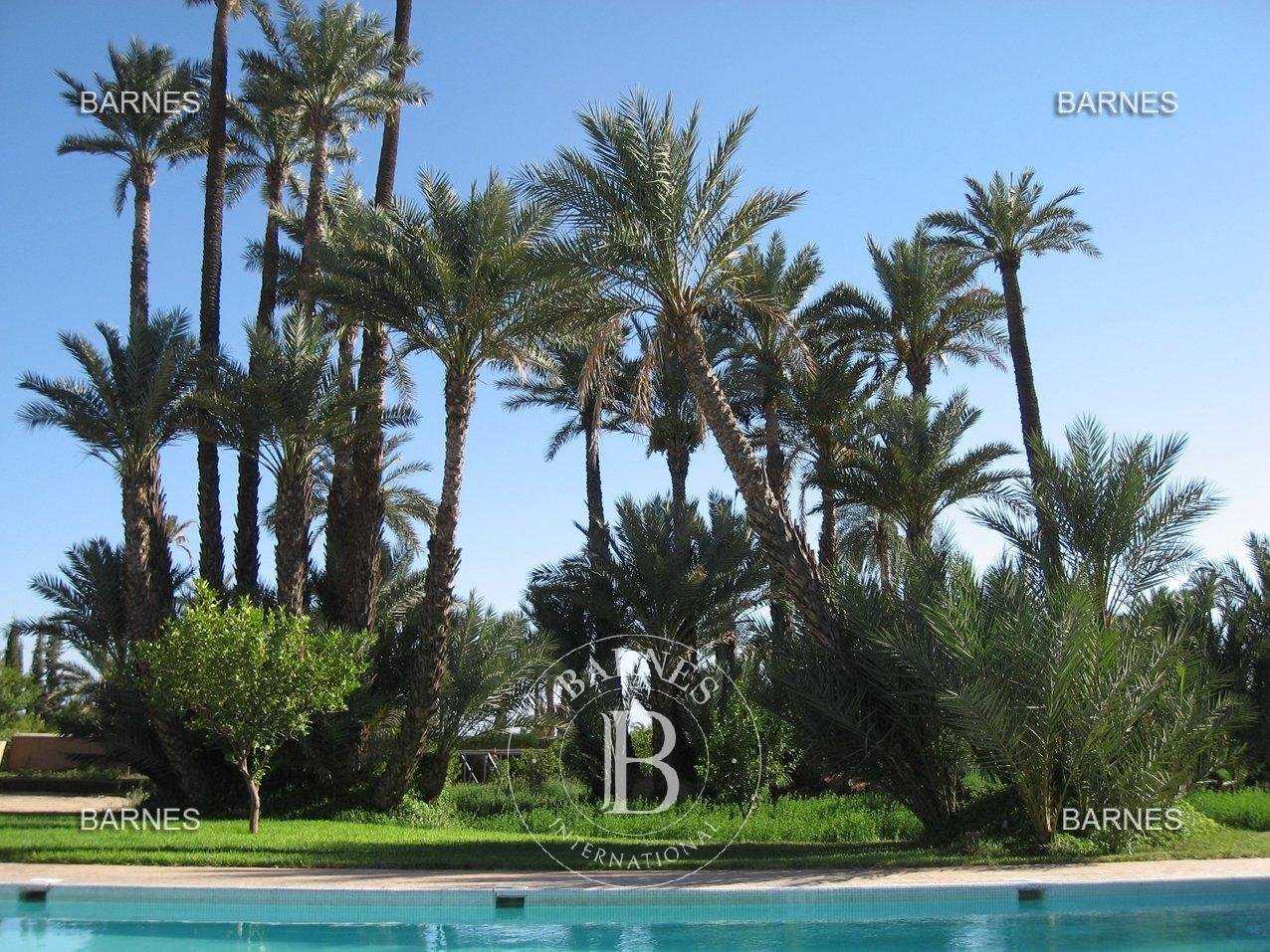 Villa Marrakech  -  ref 2769757 (picture 3)