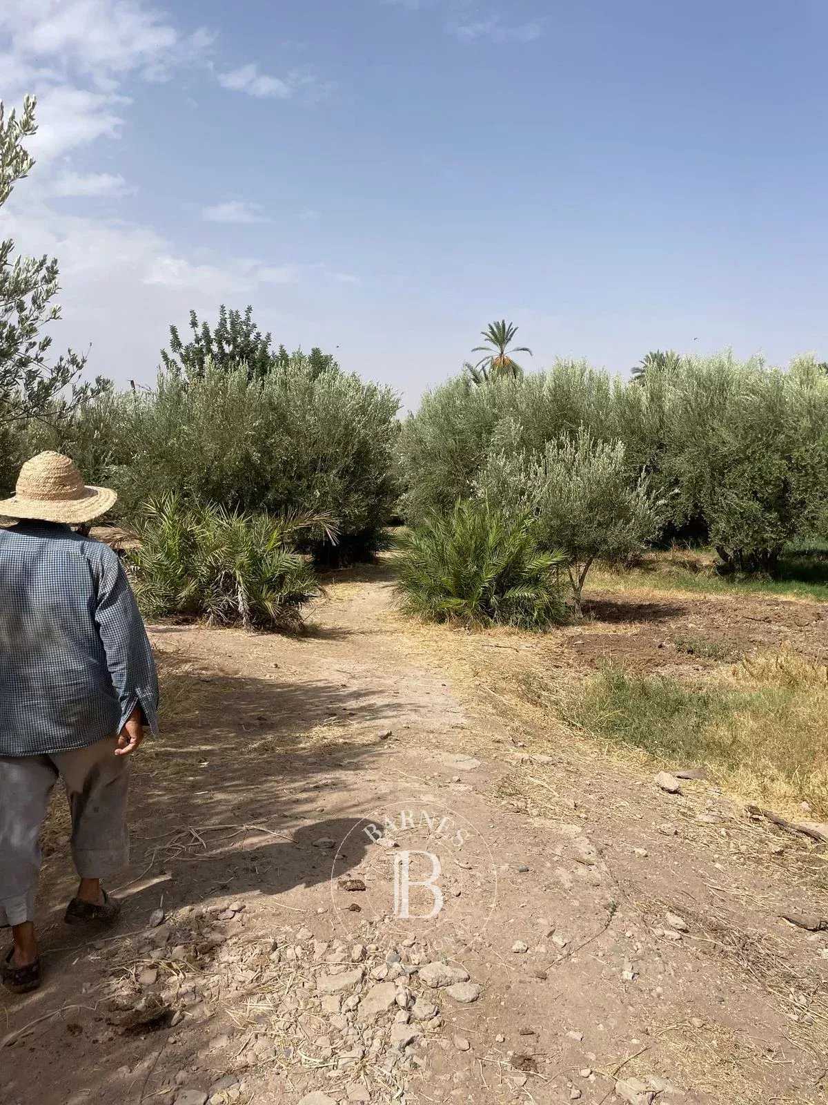 Building land Marrakech  -  ref 85296190 (picture 3)