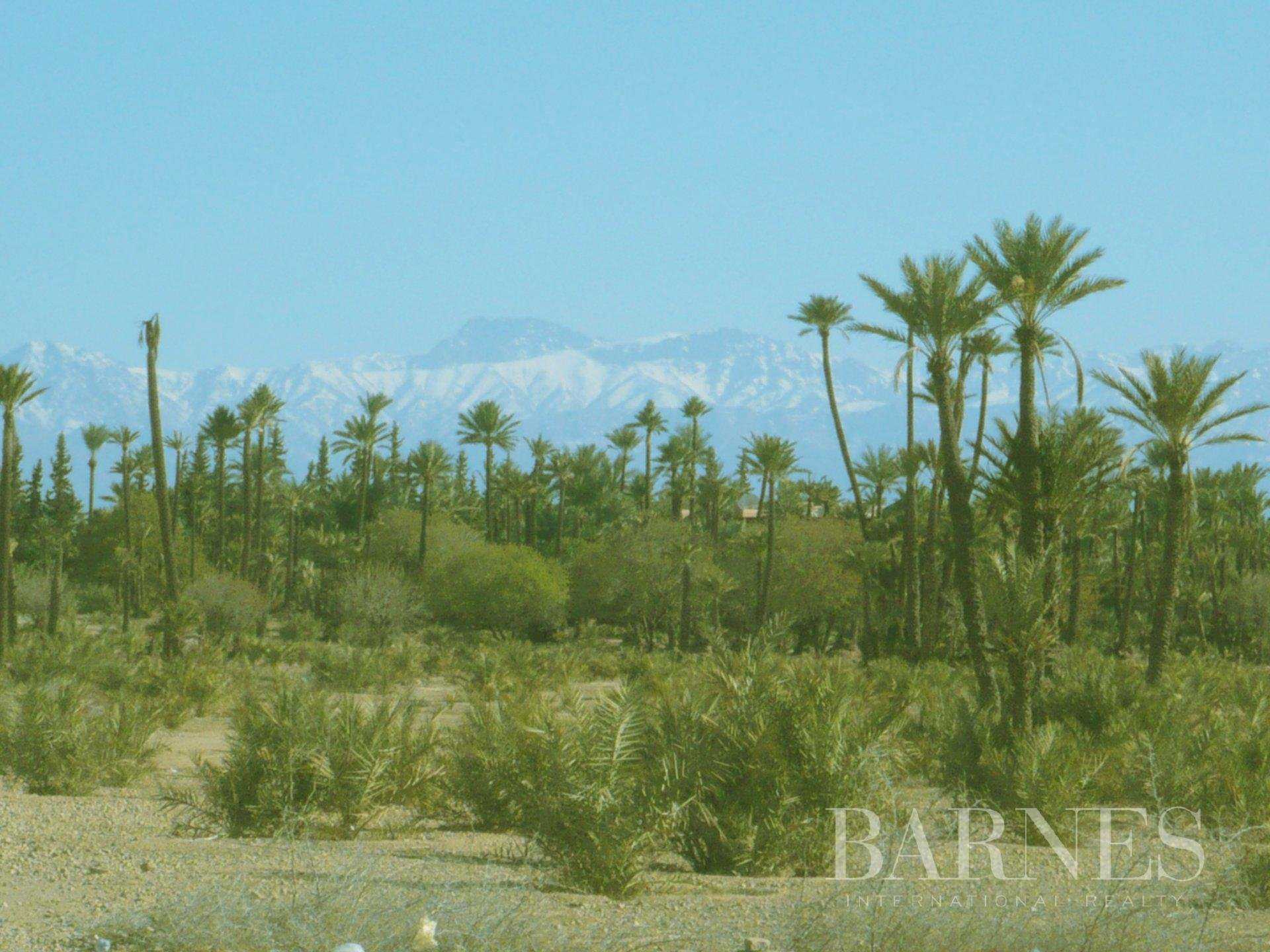 Plot of land Marrakech  -  ref 6614908 (picture 1)