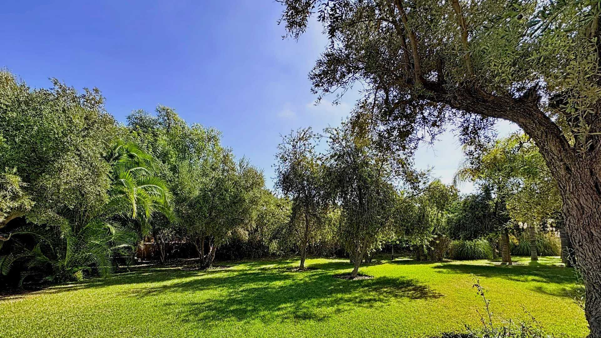 Villa Marrakech  -  ref 86374768 (picture 3)
