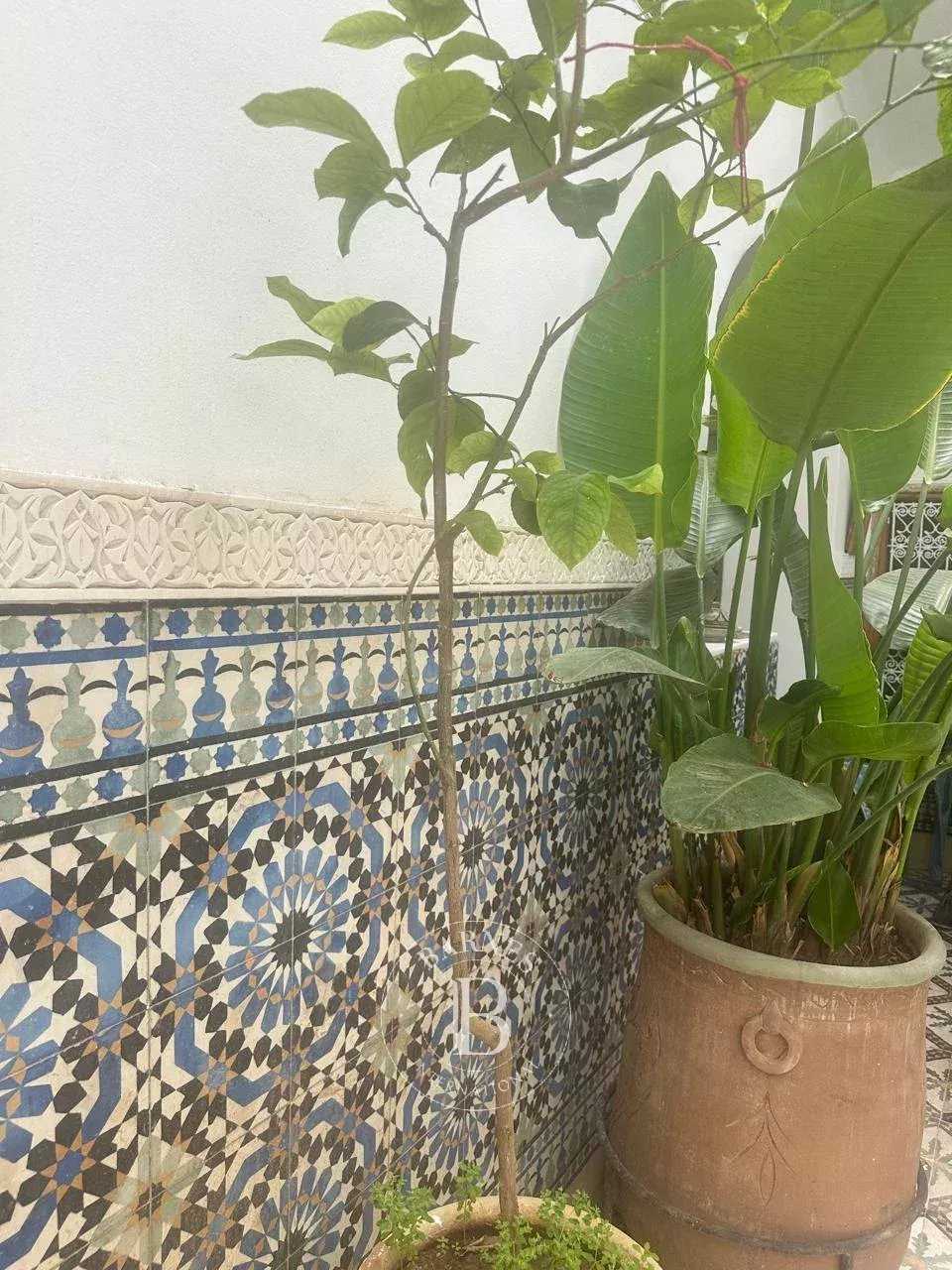 Riad Marrakech  -  ref 86055551 (picture 2)