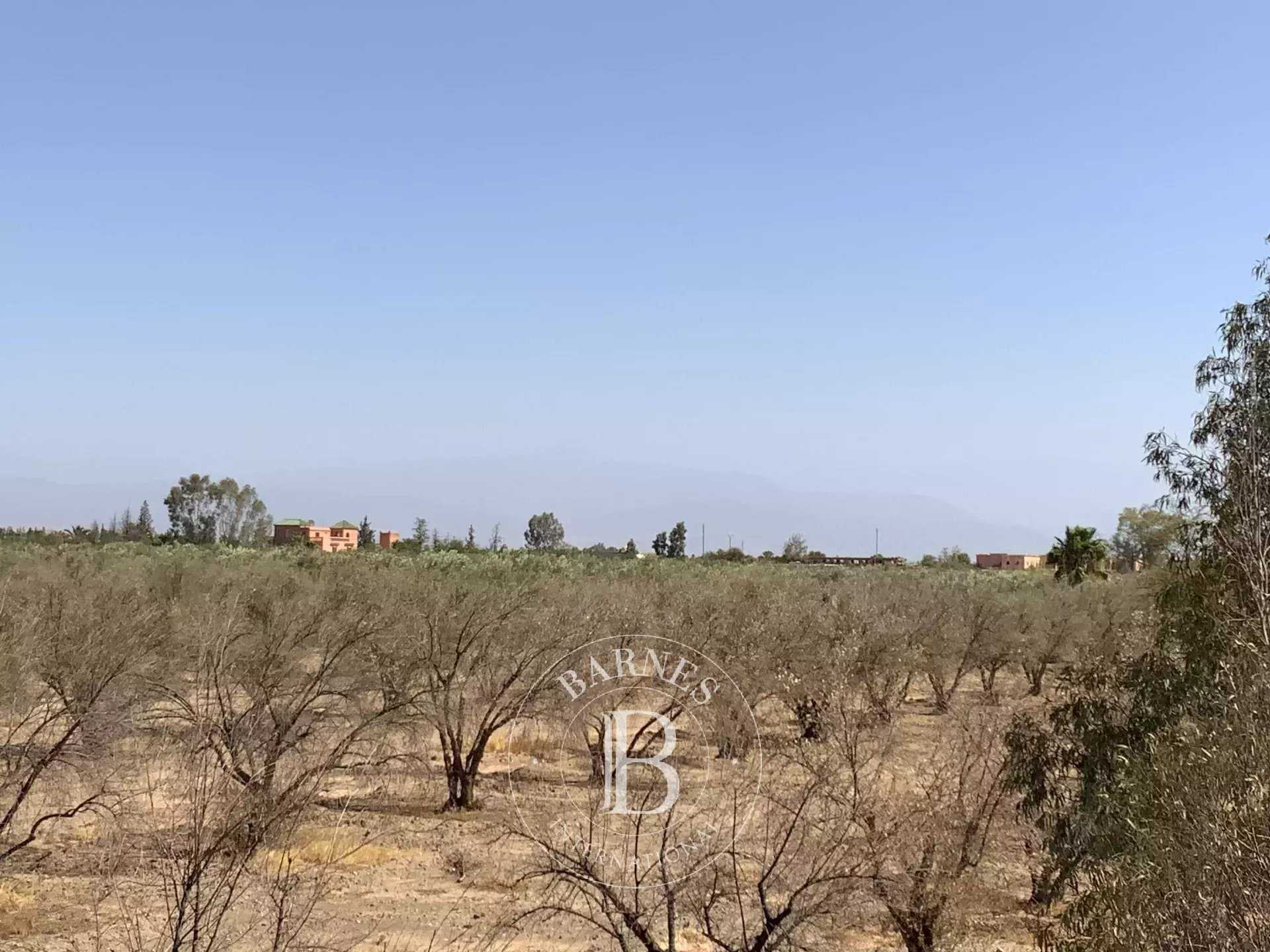 Terrain constructible Marrakech  -  ref 86241776 (picture 2)