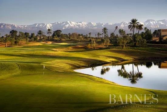 Marrakech  - Terrain  - picture 1