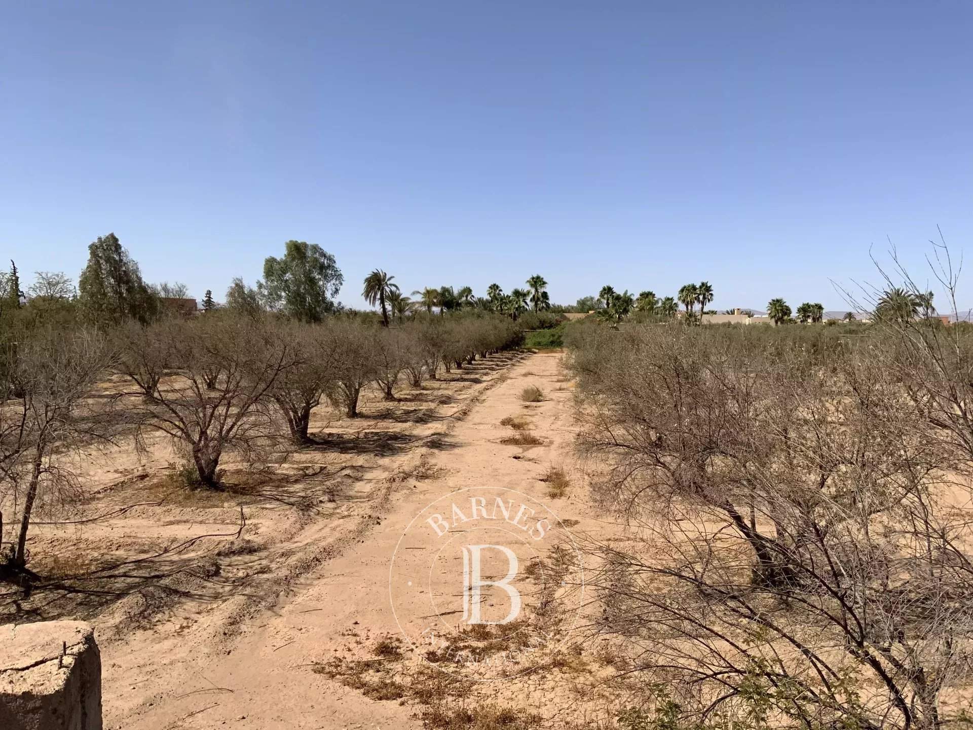 Marrakech  - Terrain constructible  - picture 1