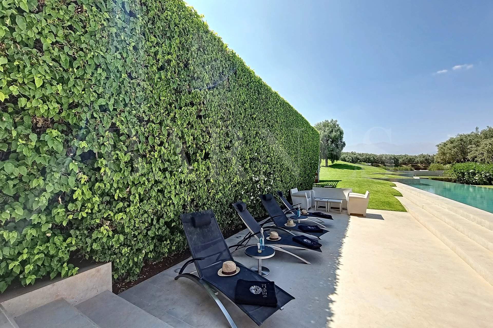 Marrakech  - Villa  - picture 11