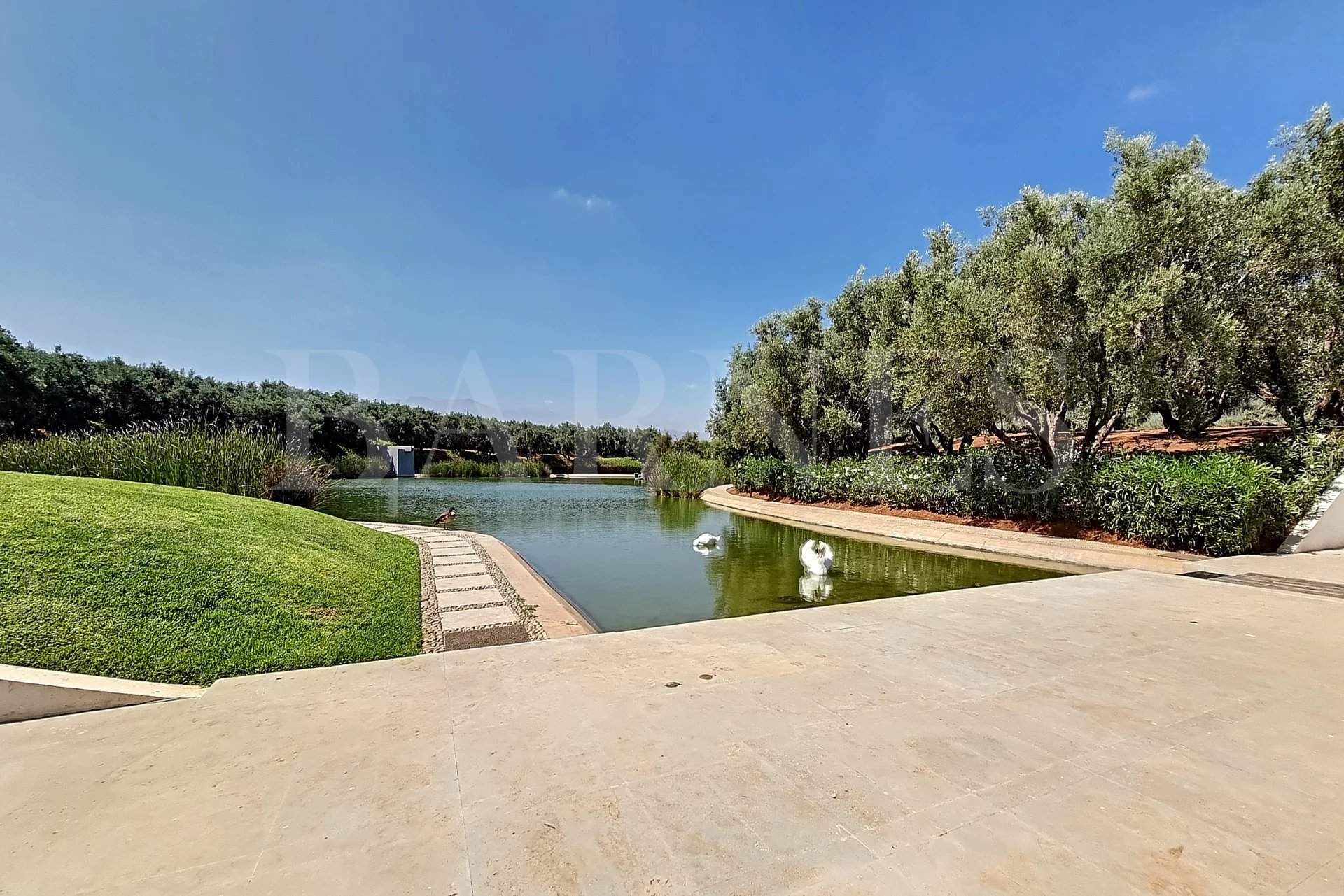 Marrakech  - Villa  - picture 15