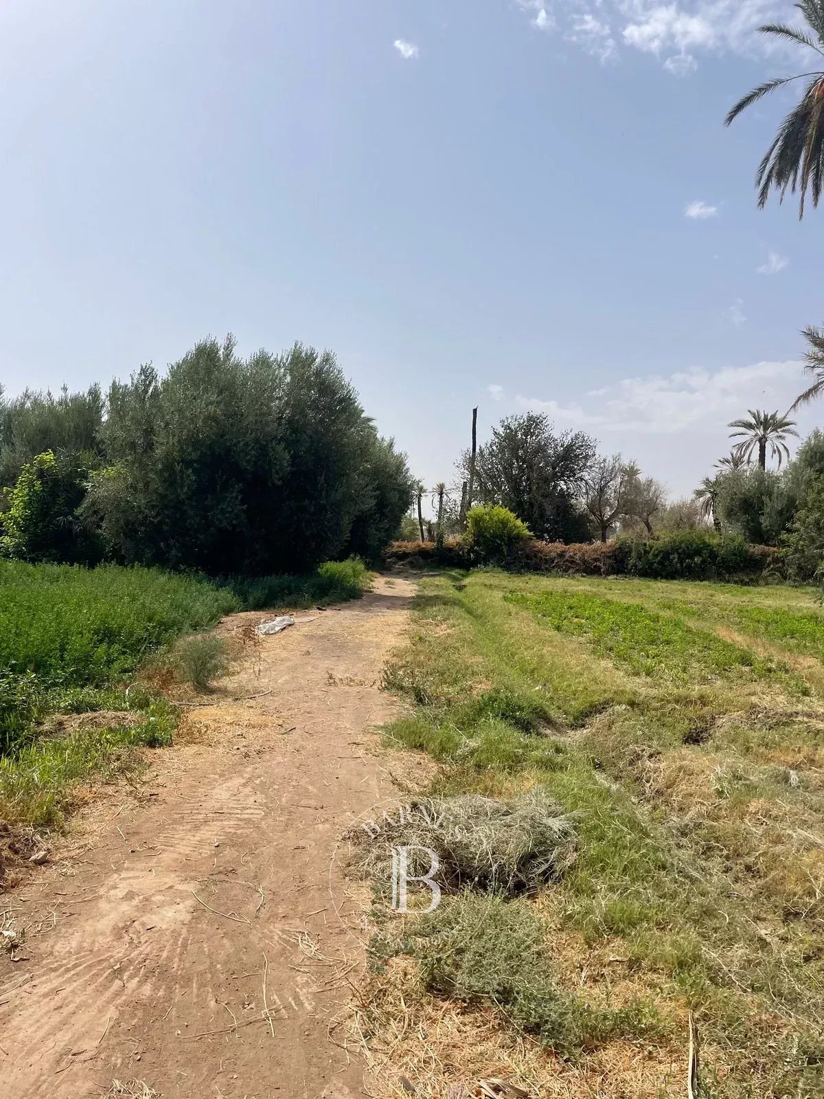 Marrakech  - Building land  - picture 2