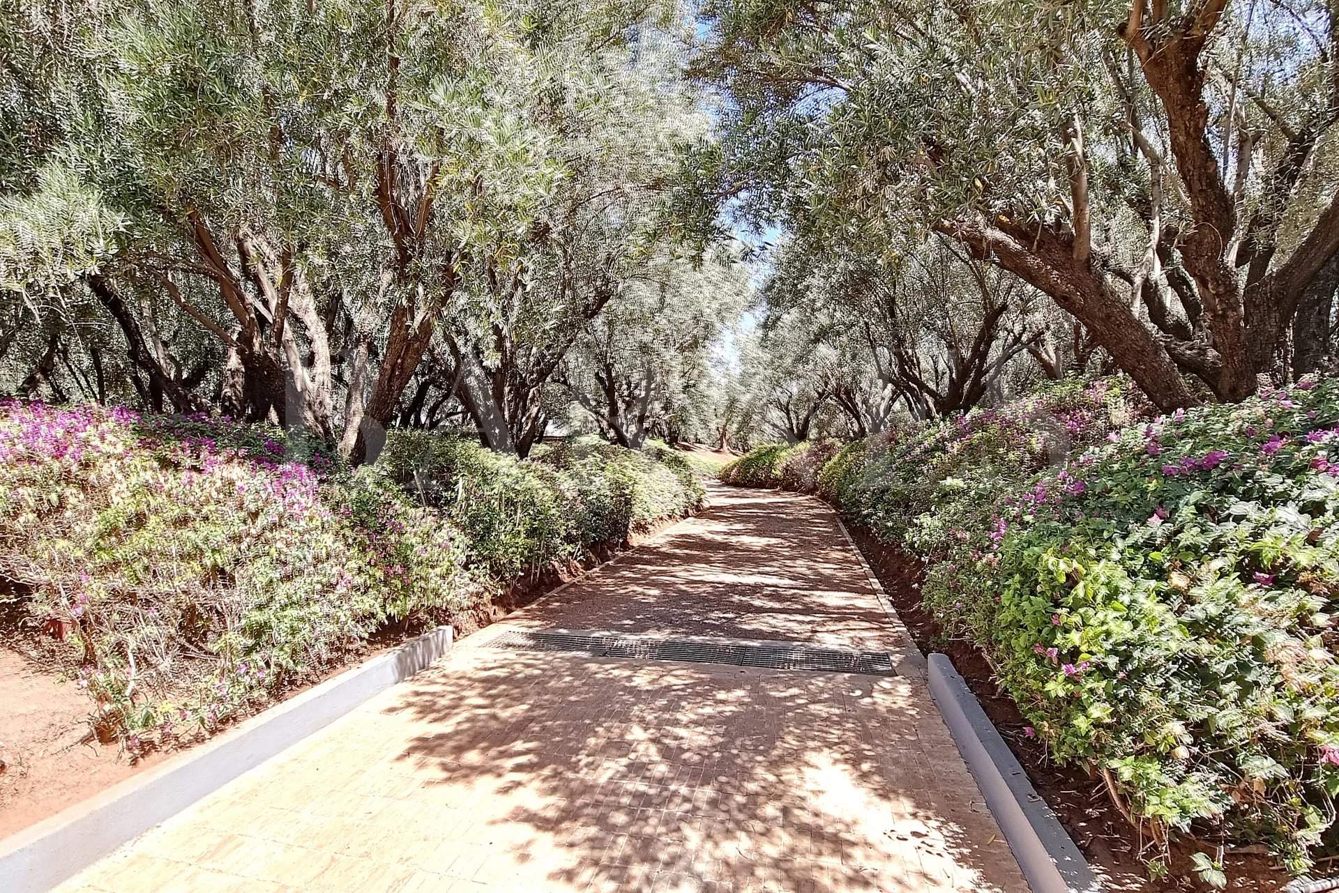 Marrakech  - Villa  - picture 19