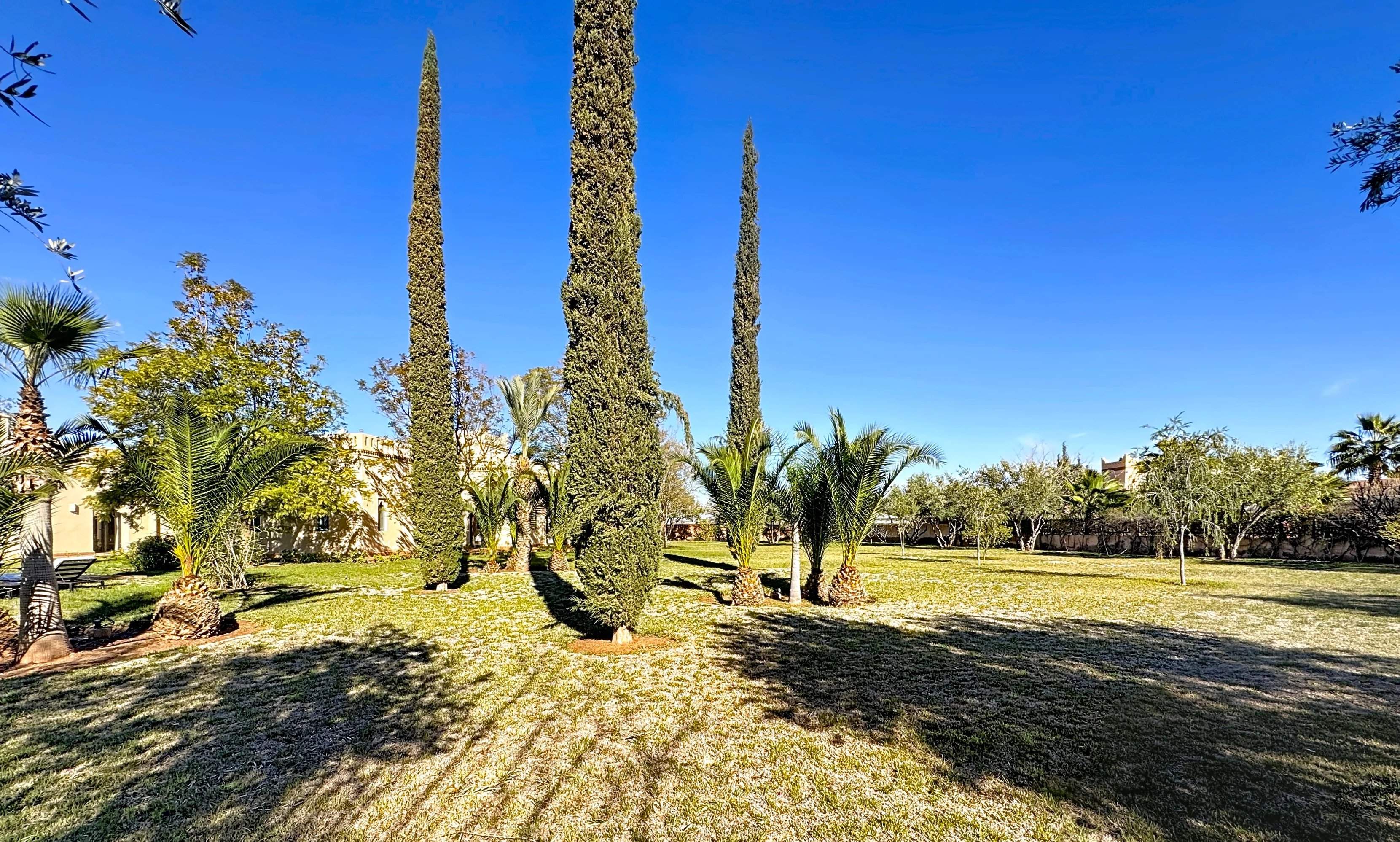 Marrakech  - Villa  - picture 8