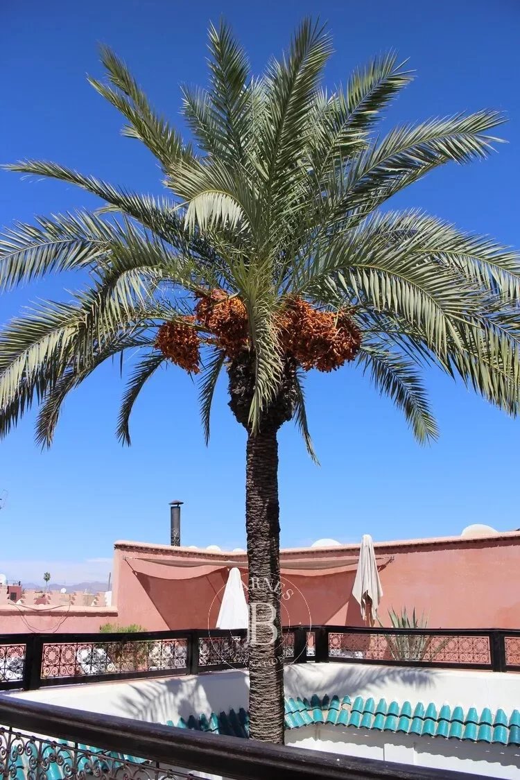 Marrakech  - Riad  - picture 16