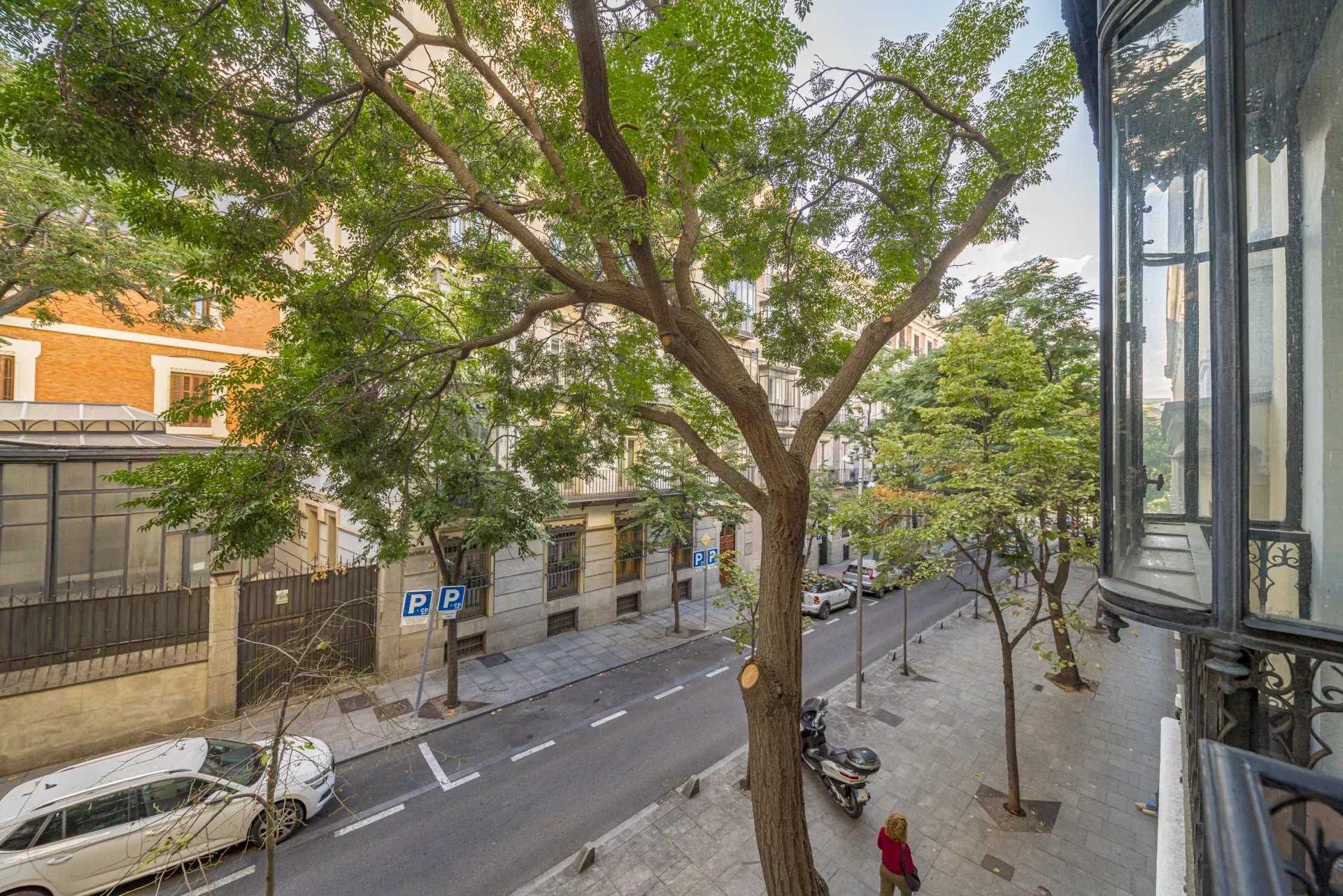 Appartement Madrid  -  ref 85361793 (picture 2)