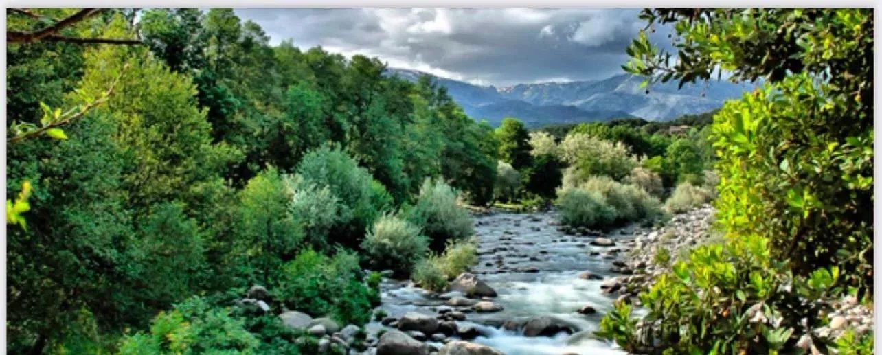 Jarandilla  - Chalet  - picture 14