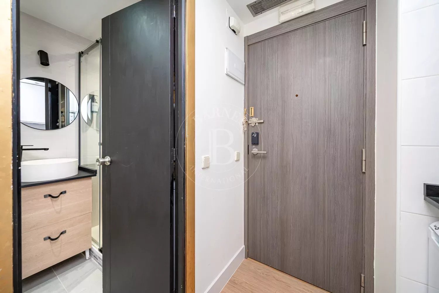 Madrid  - Studio 1 Bedroom - picture 17