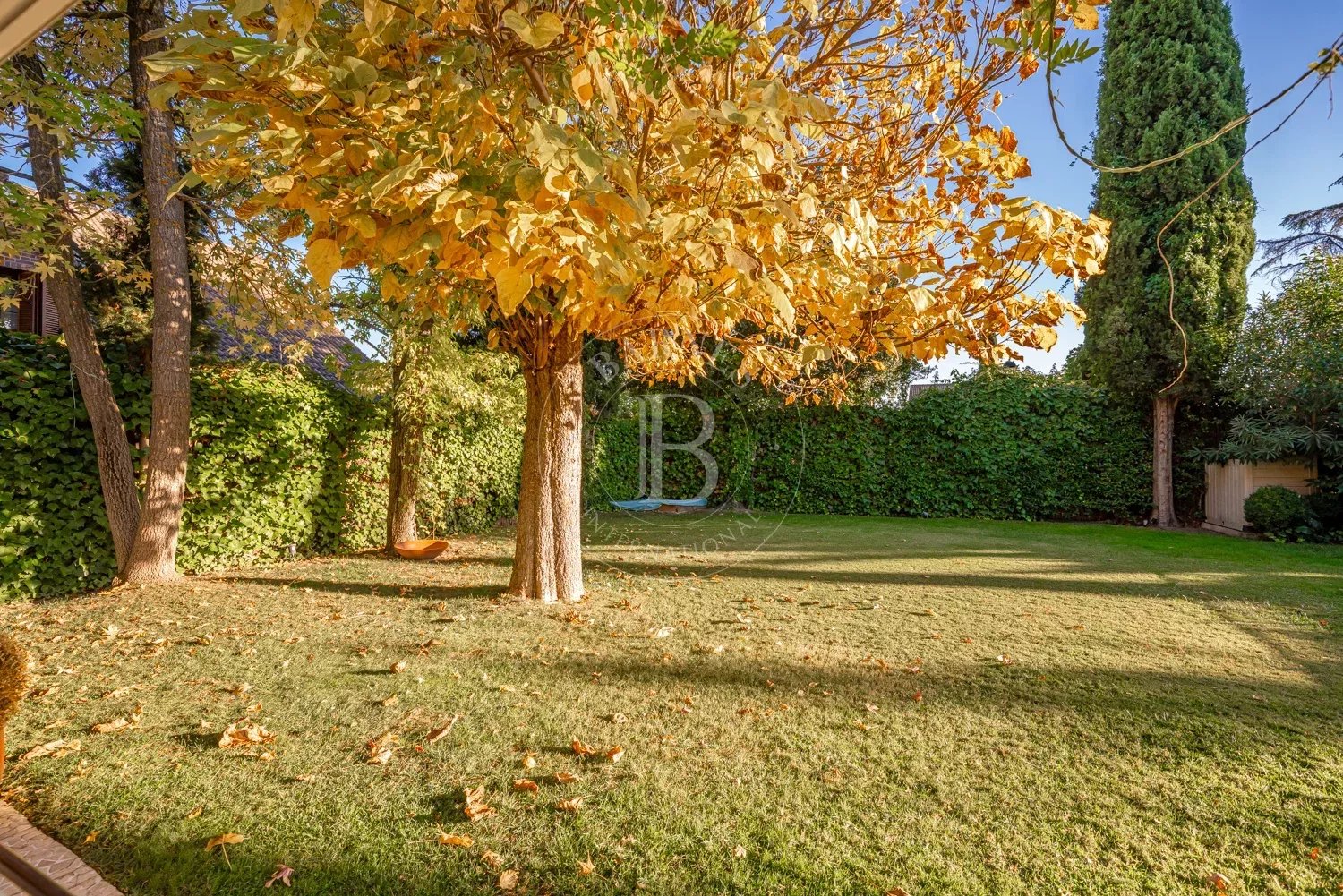 Alcobendas  - Chalet  - picture 16