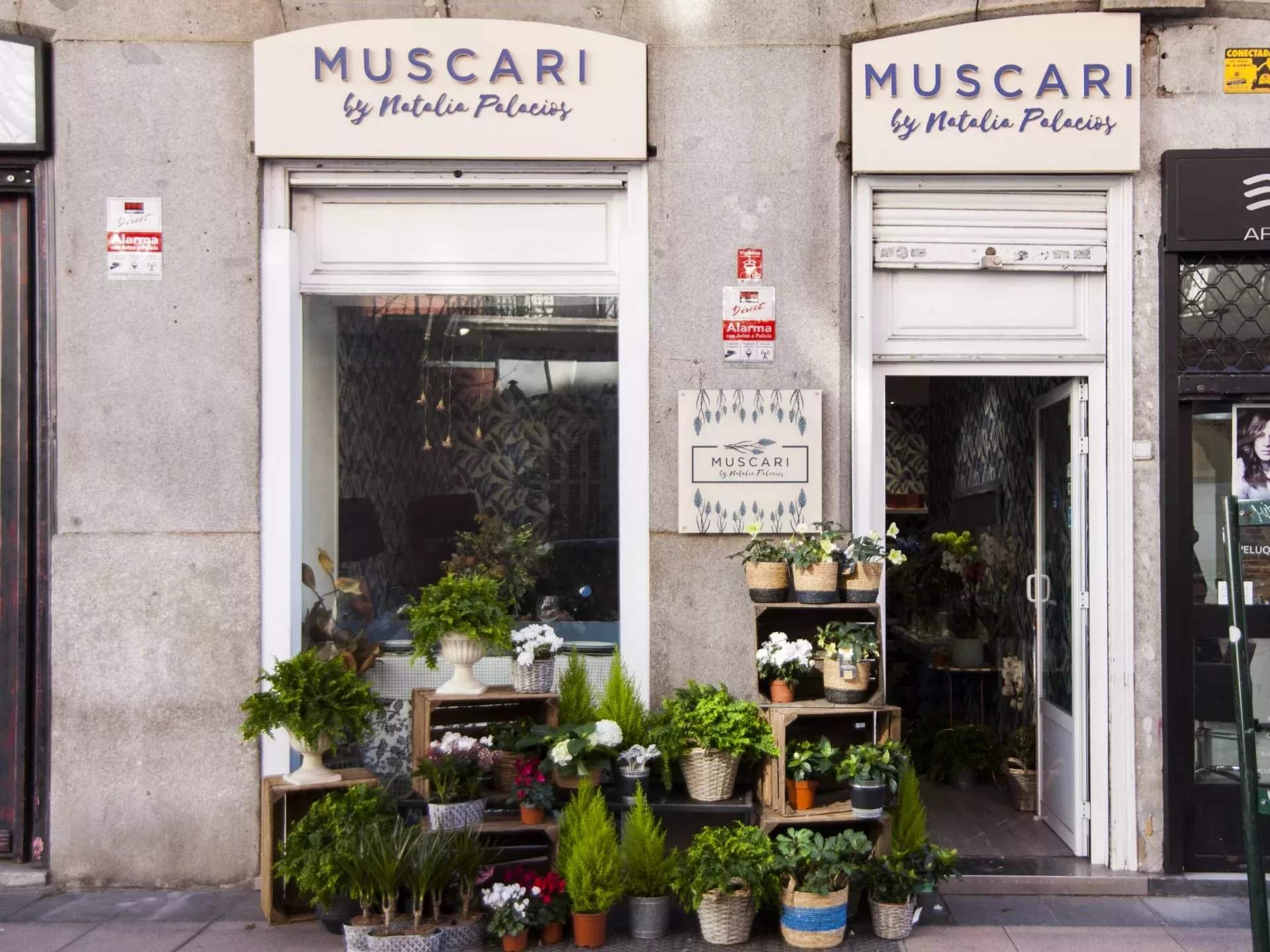 Madrid  - Apartment 4 Bedrooms - picture 13