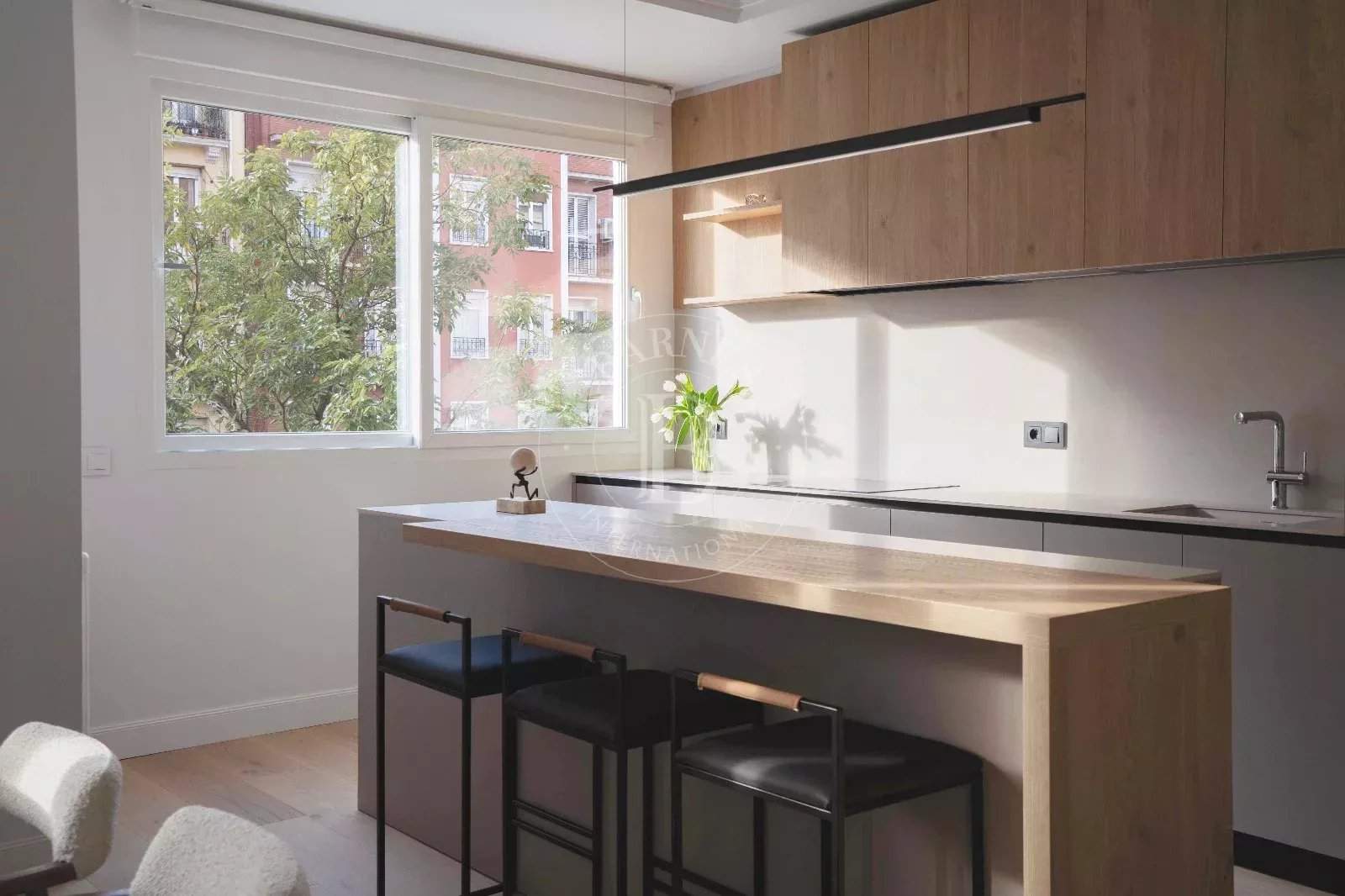 Madrid  - Apartment 3 Bedrooms - picture 2