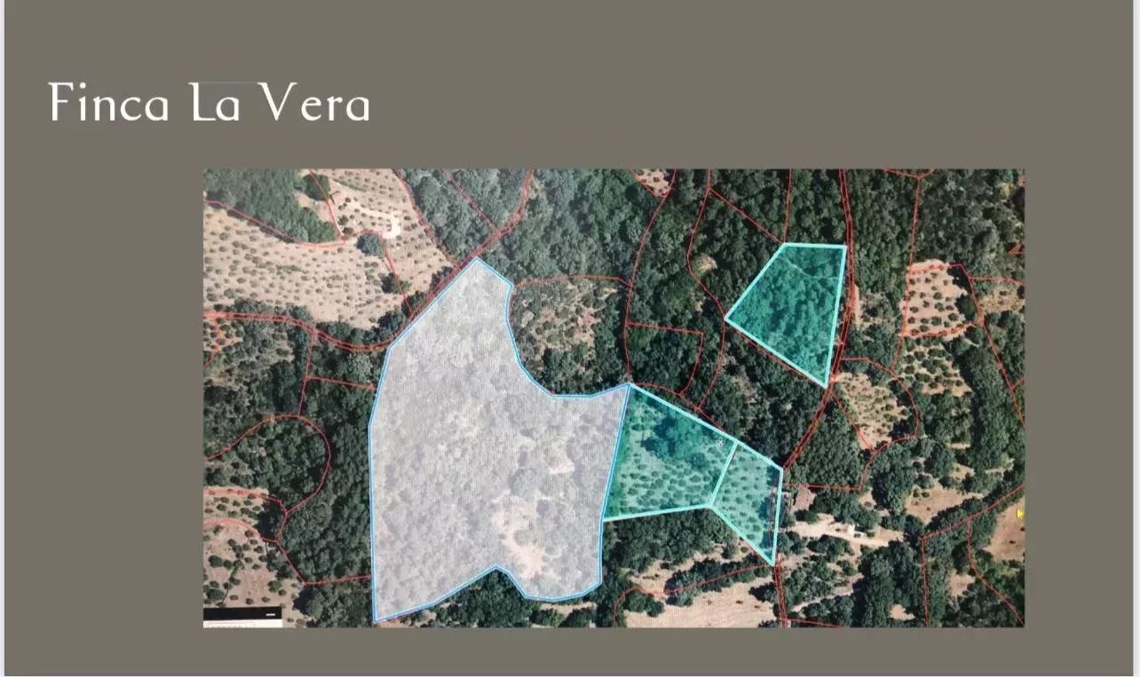 Jarandilla  - Chalet  - picture 15