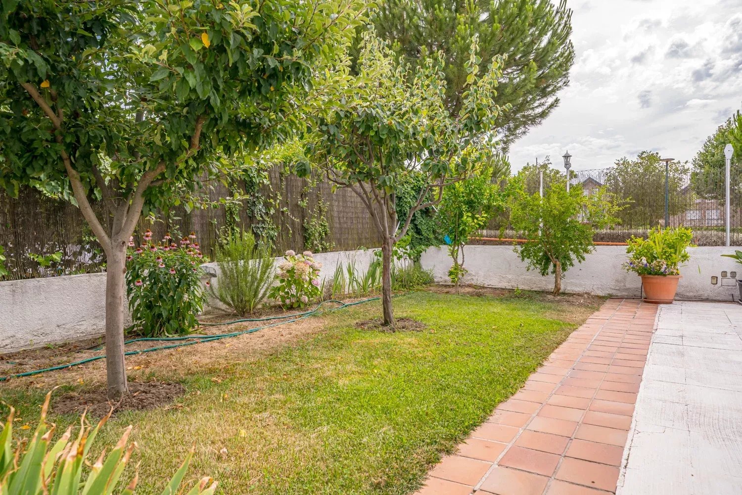 Pozuelo de Alarcón  - Casa  - picture 20