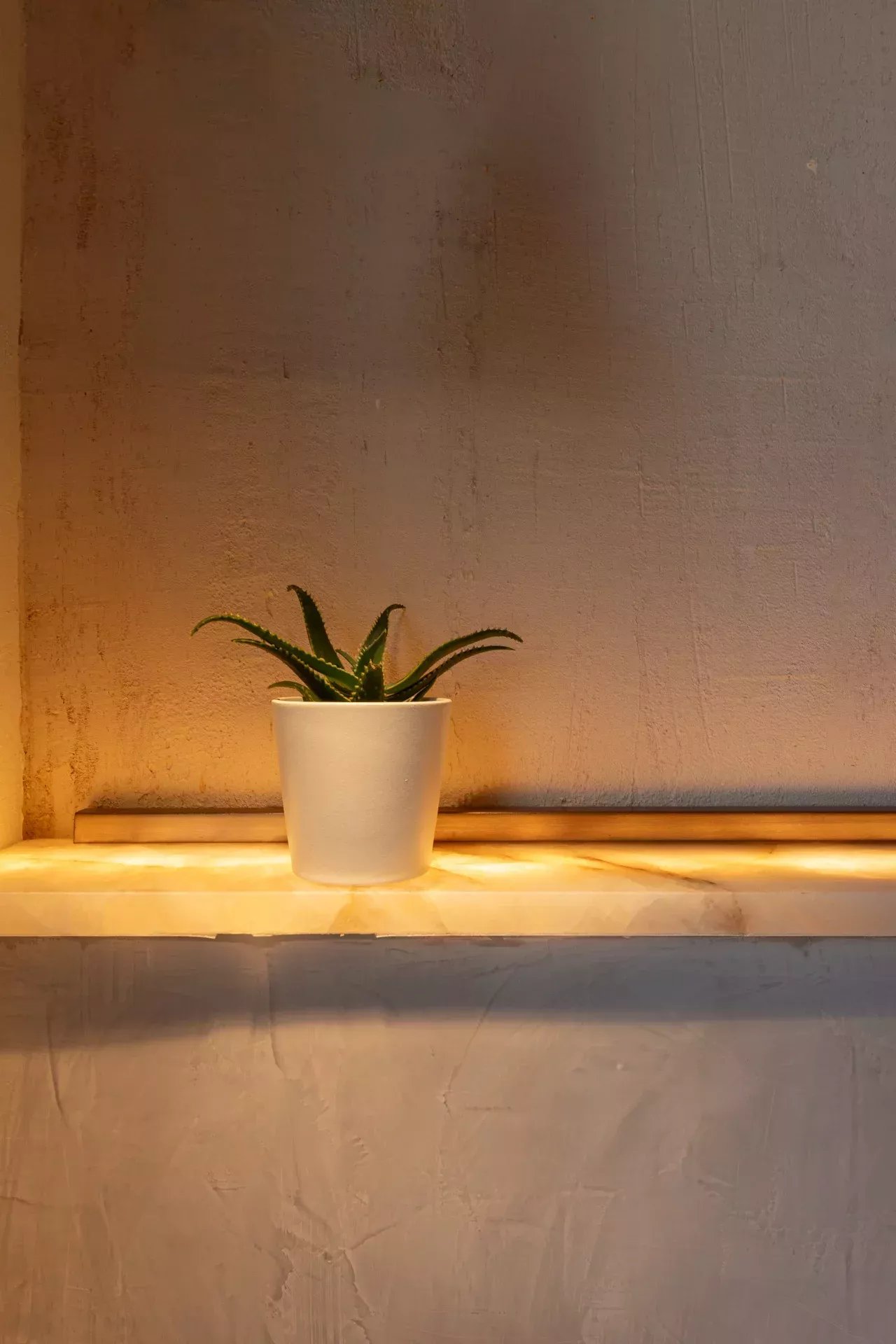 Madrid  - Estudio  - picture 15