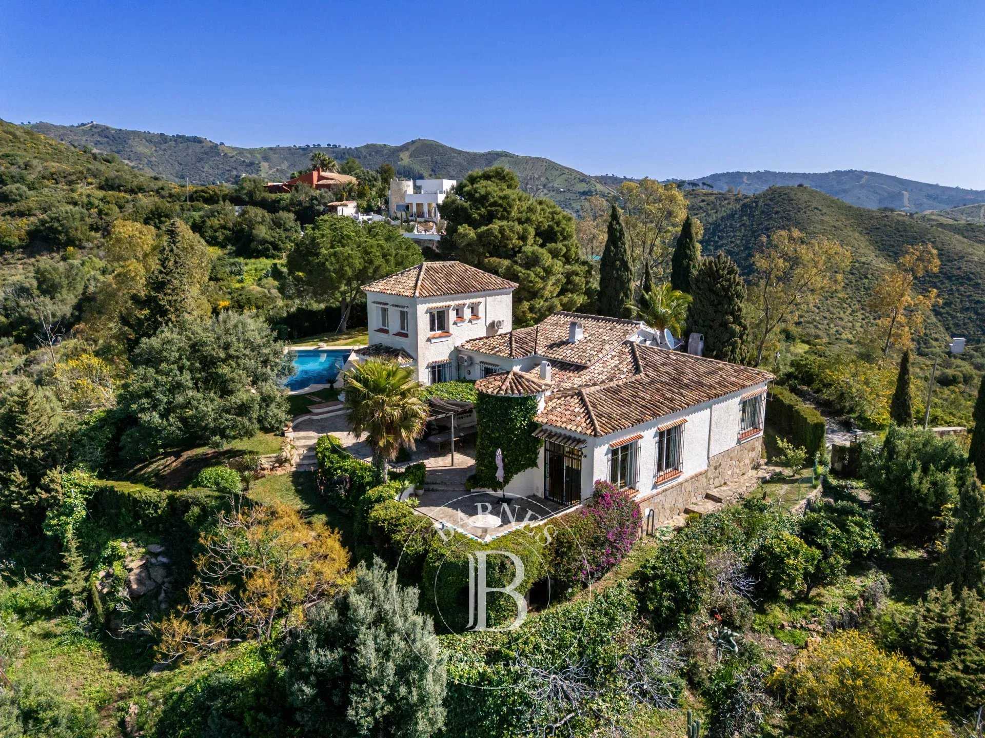 Villa Marbella  -  ref 86835810 (picture 1)