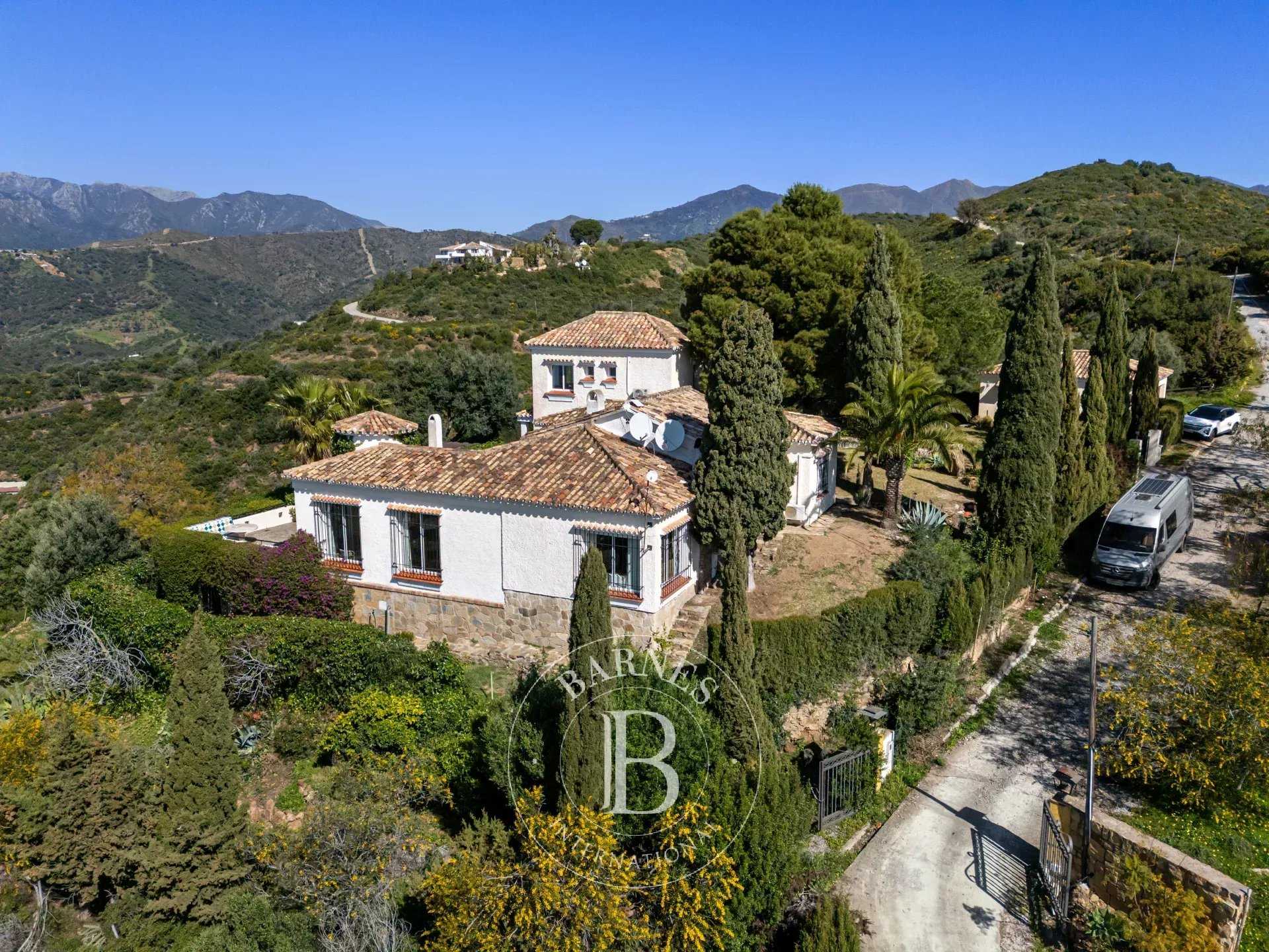 Villa Marbella  -  ref 86835810 (picture 2)