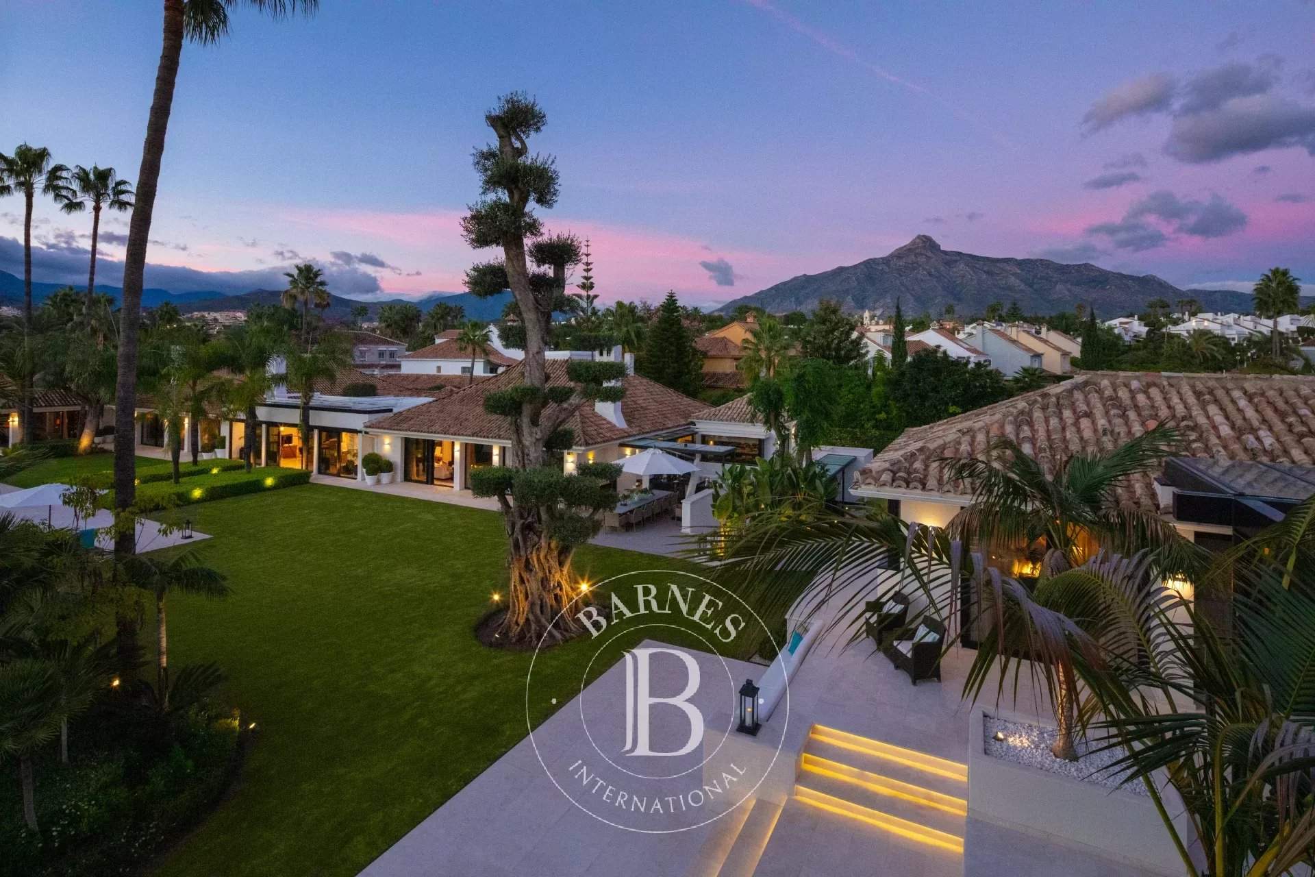 Location Villa d'Ultra Luxe à Marbella - Un véritable resort de sérénité picture 1