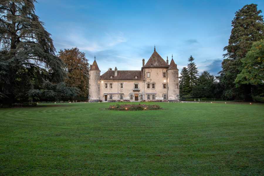 Douvaine  - Château 22 Pièces 17 Chambres
