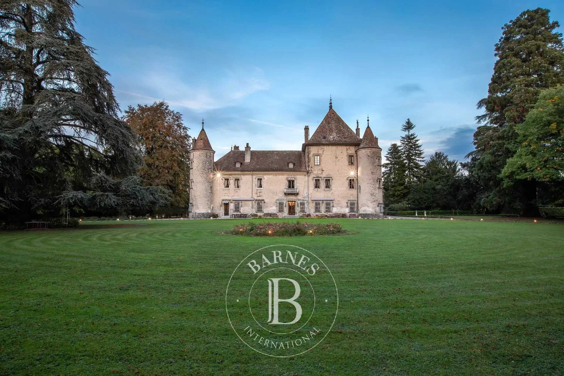 Douvaine  - Château 22 Pièces 17 Chambres