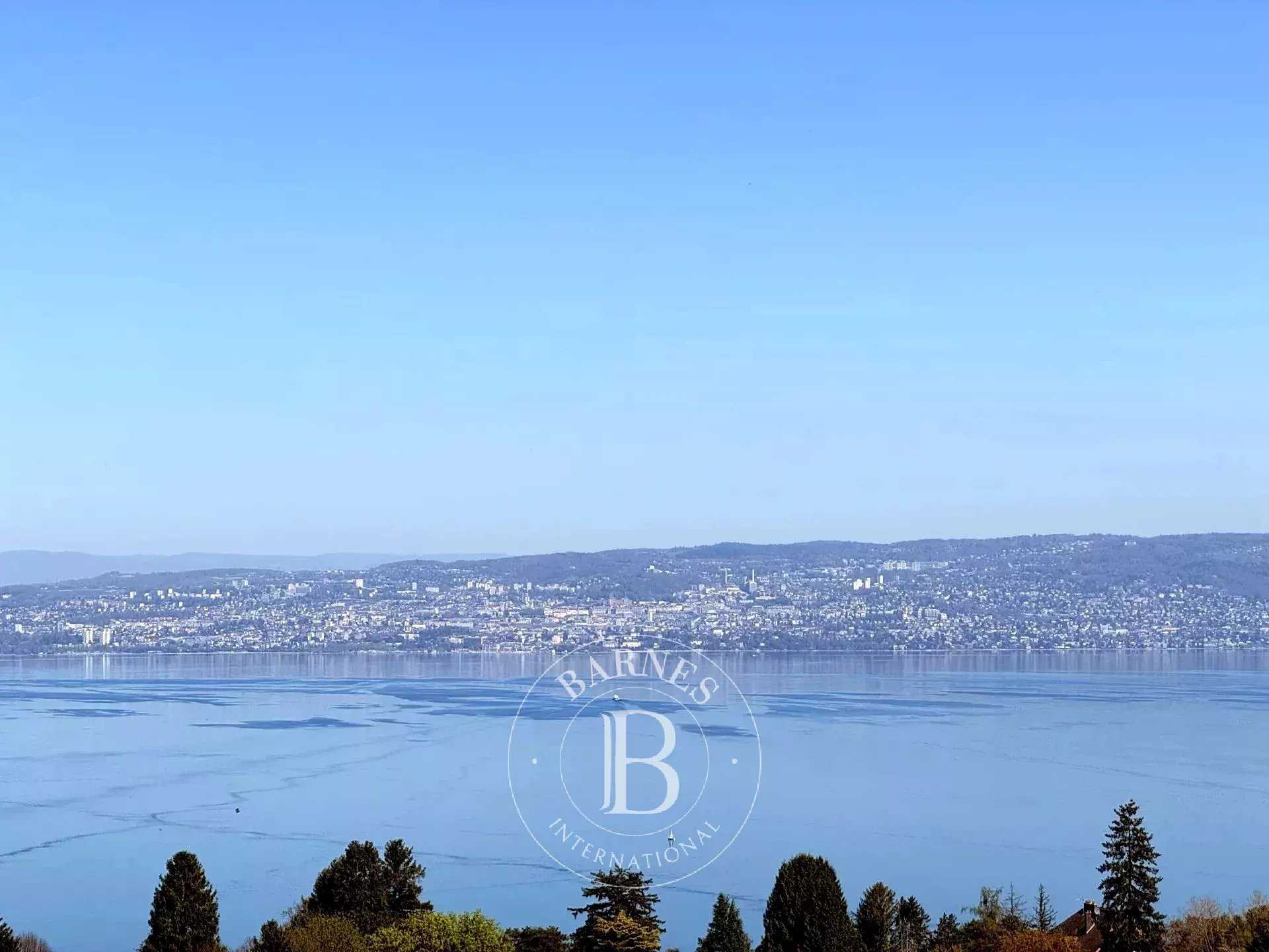 Maison Évian-les-Bains  -  ref 86748826 (picture 1)