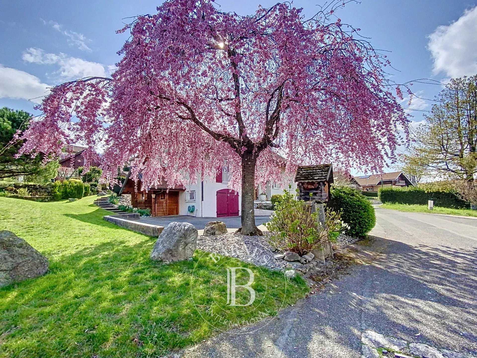Maison Neuvecelle  -  ref 85526314 (picture 2)