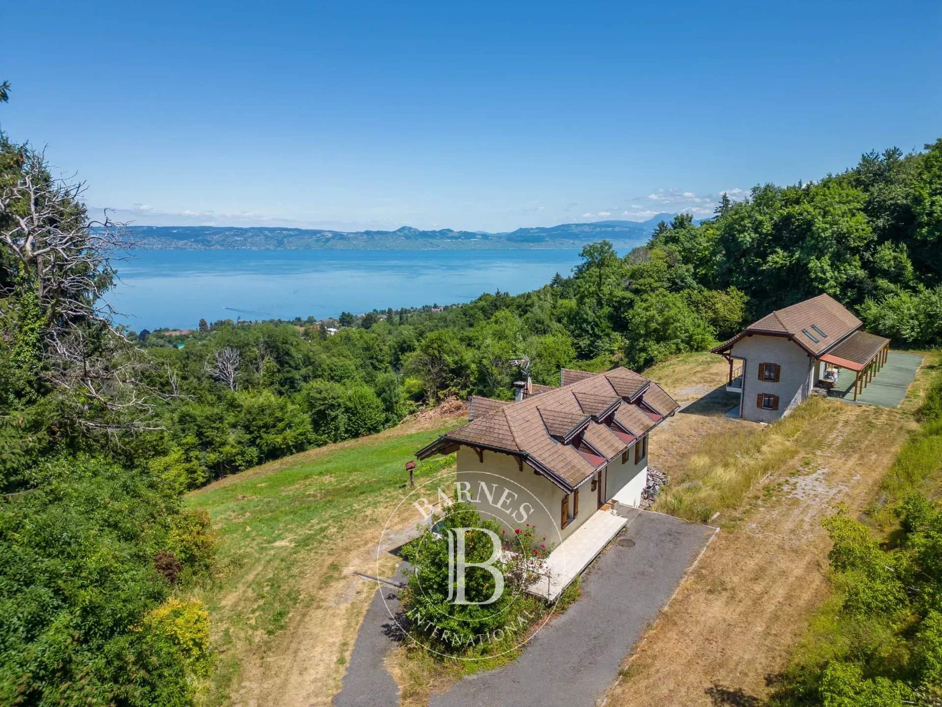 Évian-les-Bains  - Property 7 Bedrooms - picture 3