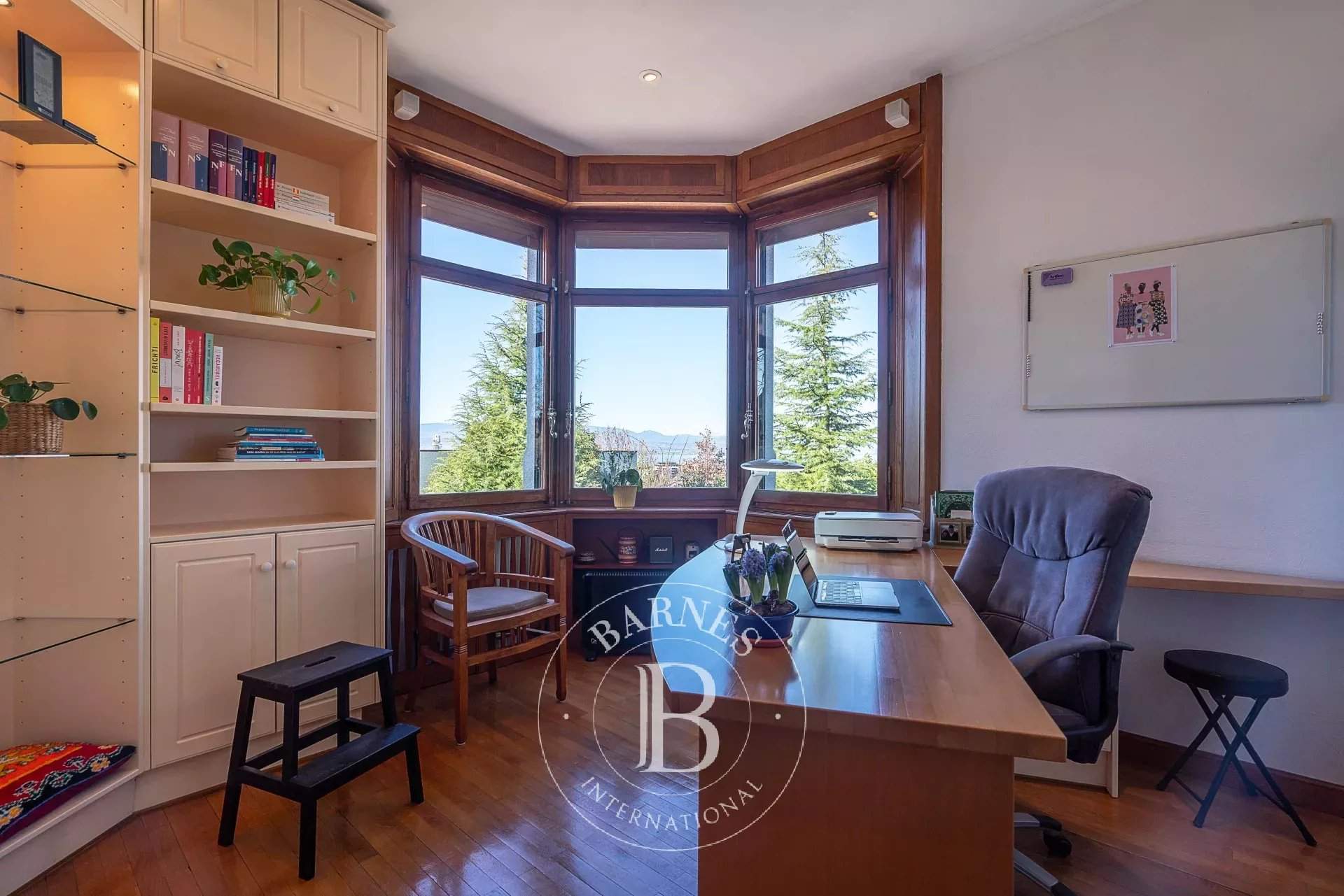 Thonon-les-Bains  - Maison 12 Pi&egrave;ces 5 Chambres - picture 11