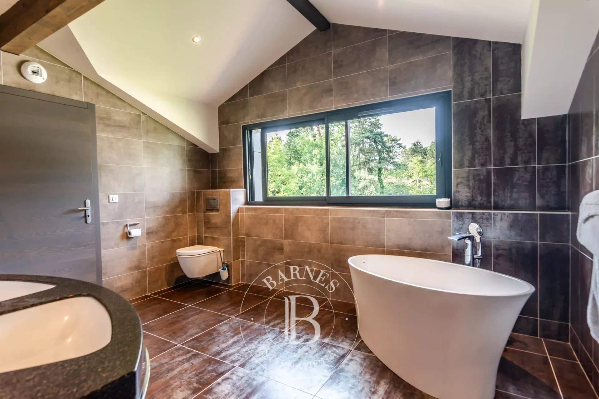 Sciez  - Maison 8 Pi&egrave;ces 4 Chambres - picture 17