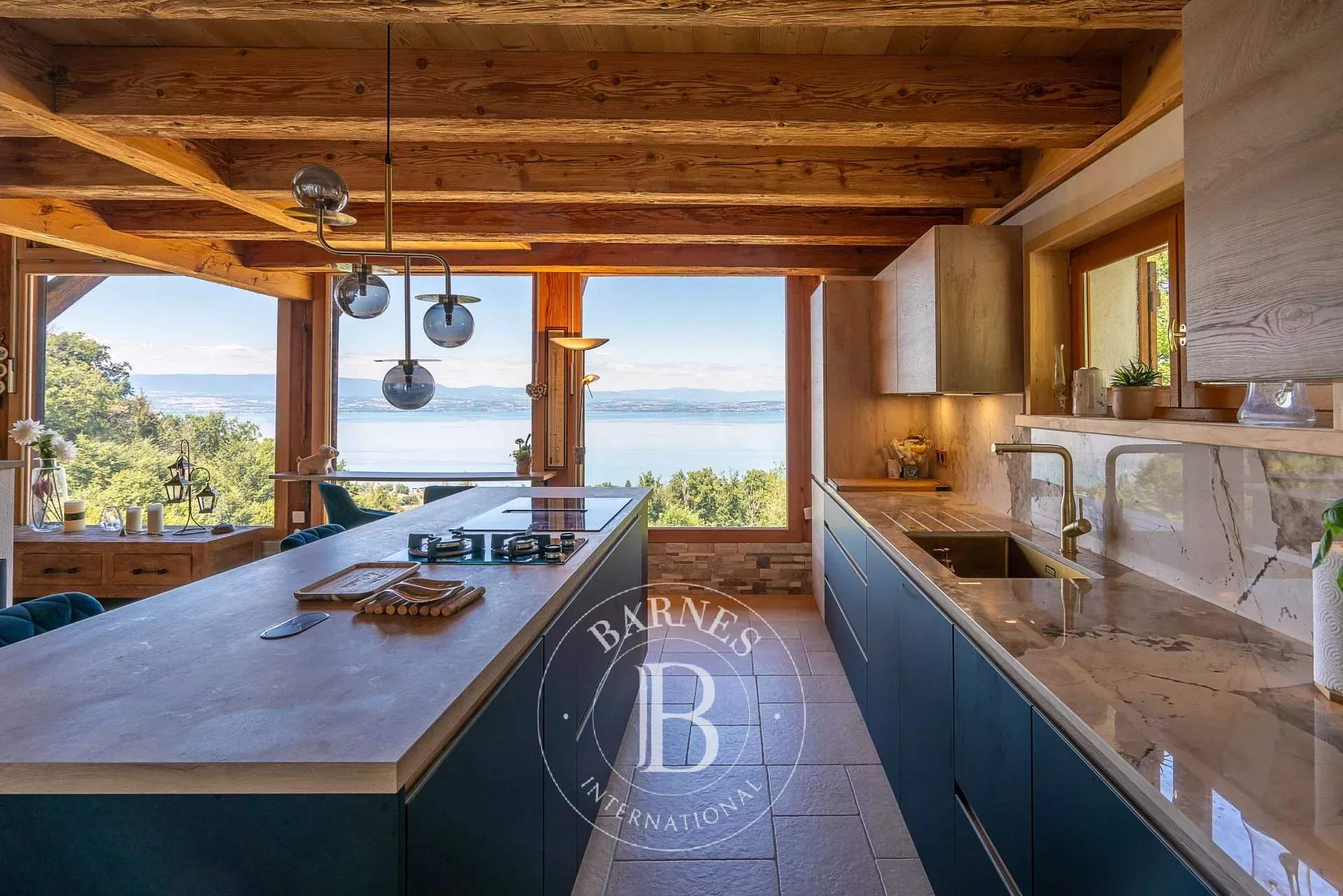 Évian-les-Bains  - Property 7 Bedrooms - picture 4