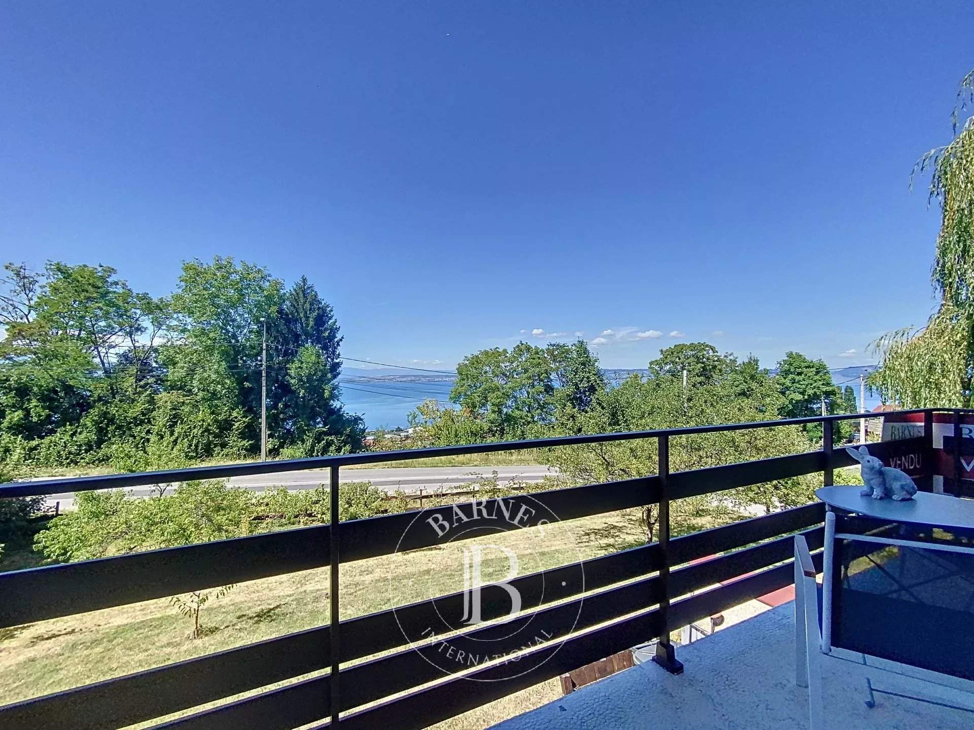 Évian-les-Bains  - House 4 Bedrooms - picture 15