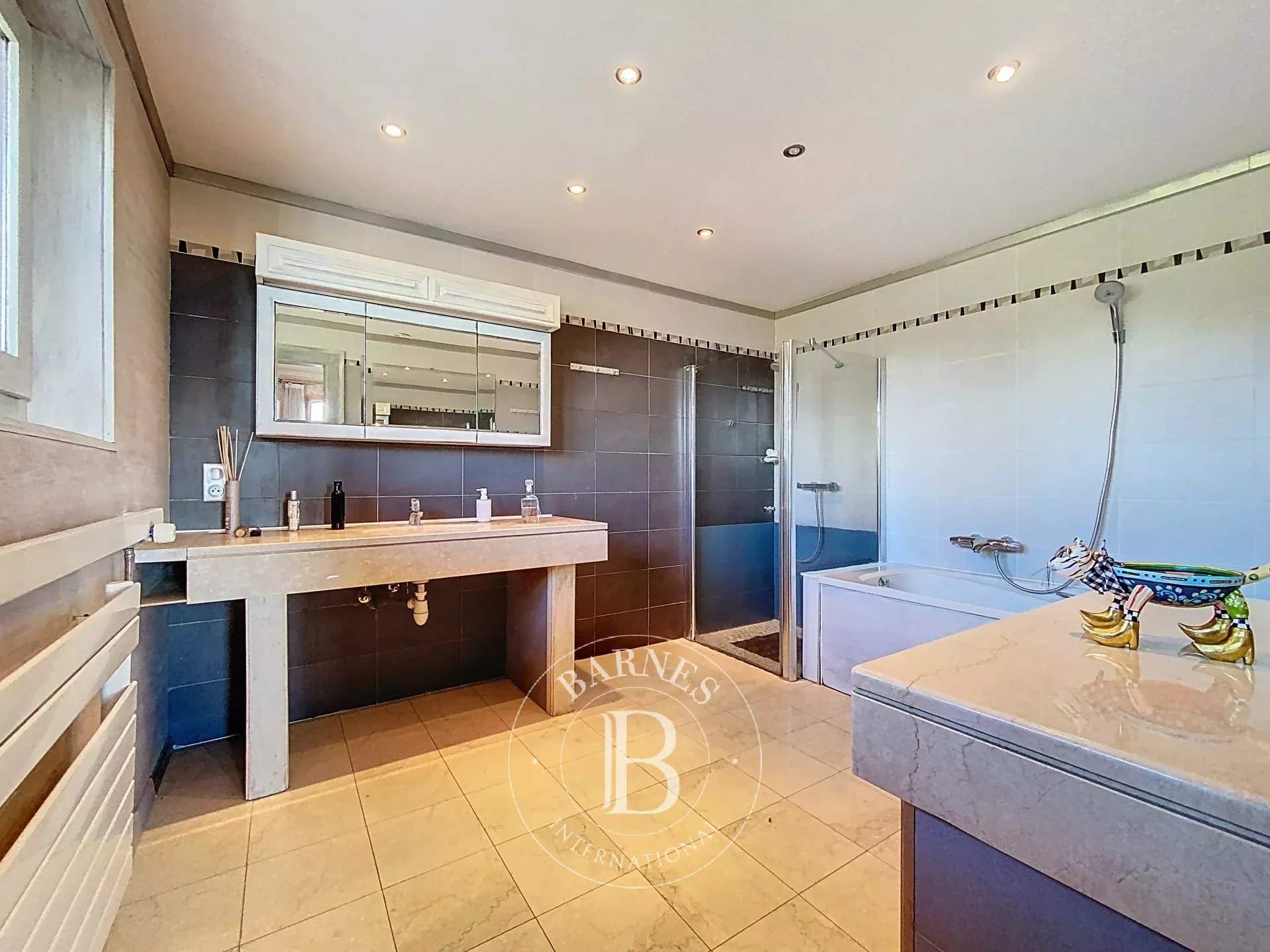 Thonon-les-Bains  - House 7 Bedrooms - picture 16